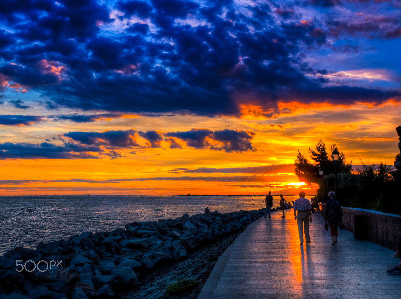 Olympus OM-D E-M10 sample photo. Sunset boulevard photography