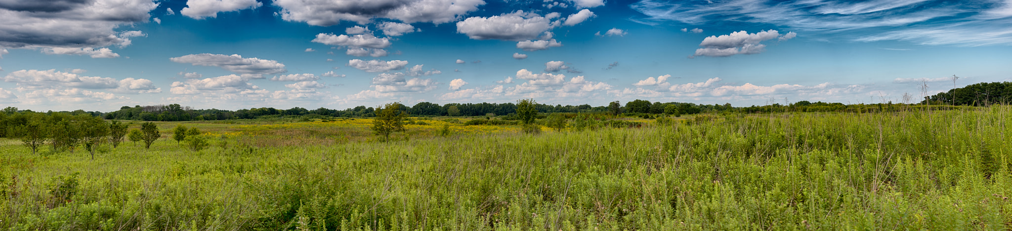 Tamron SP 70-200mm F2.8 Di VC USD sample photo. Vibrant walnut woods panorama photography