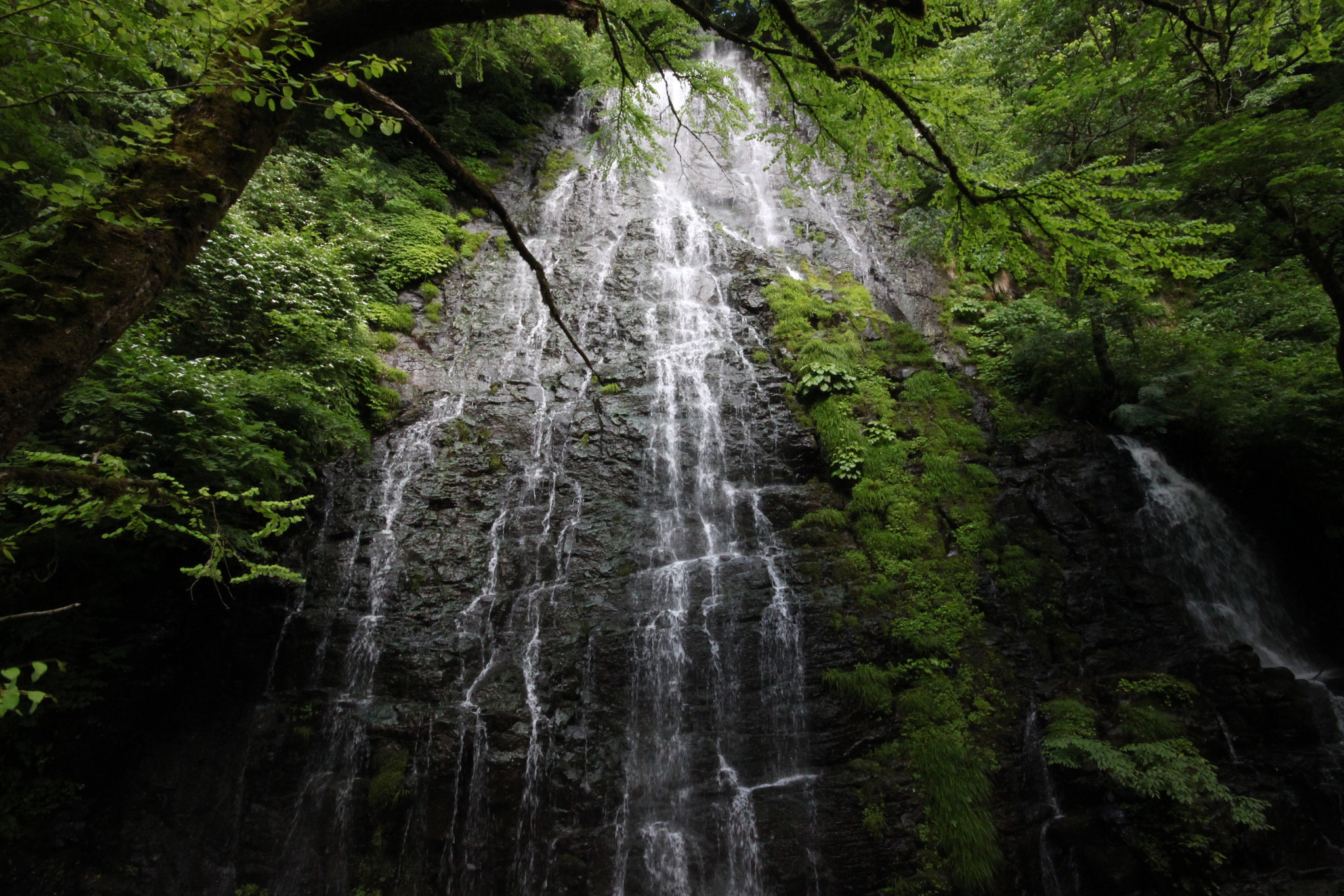 Canon EOS 500D (EOS Rebel T1i / EOS Kiss X3) sample photo. Waterfall in forest photography