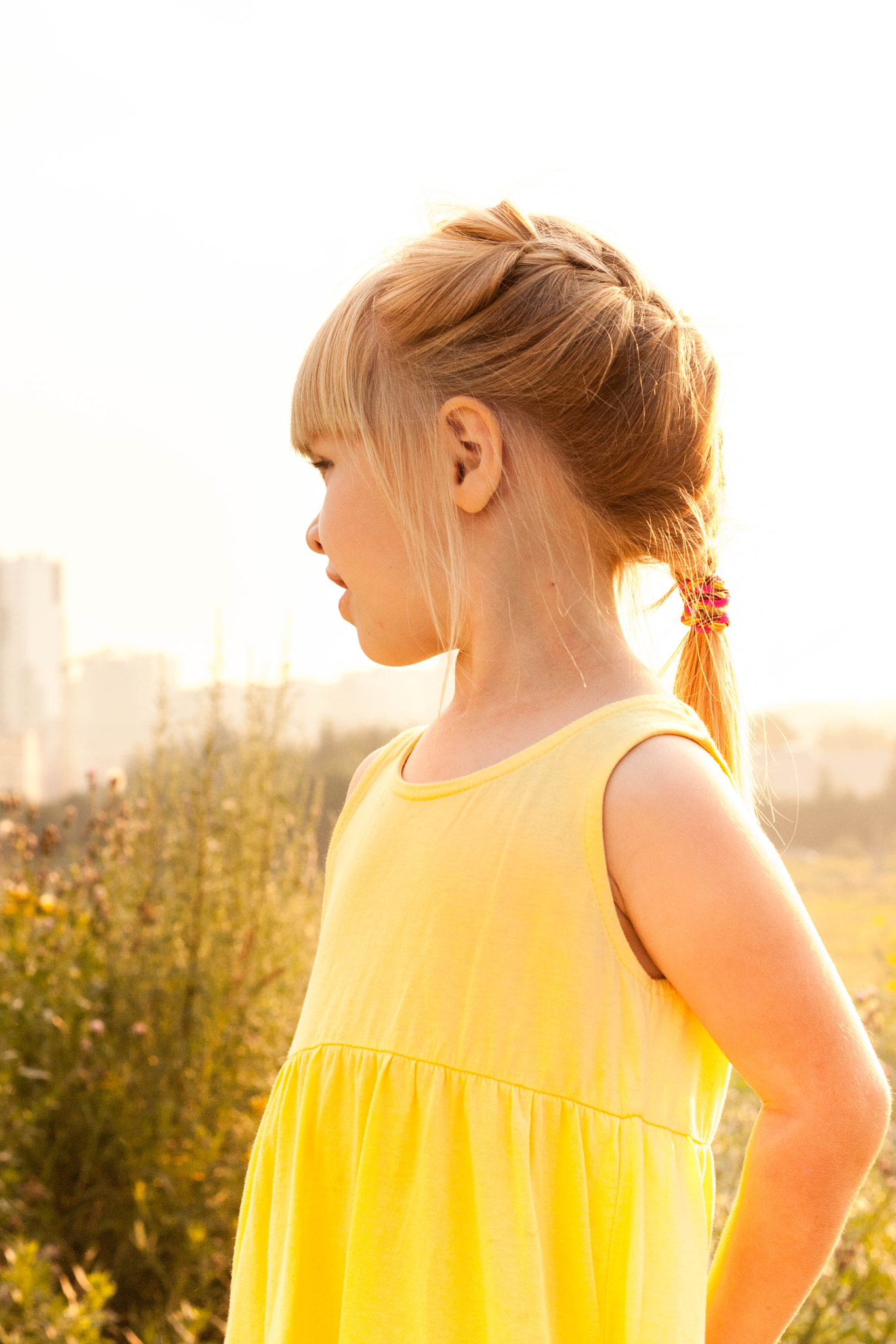 Canon EF 50mm F1.8 II sample photo