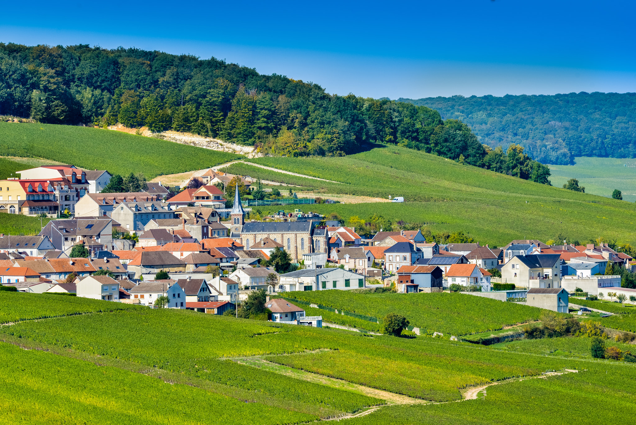 Nikon AF-S Nikkor 300mm F2.8G ED VR II sample photo. Champagne vineyards mancy in marne department, france photography