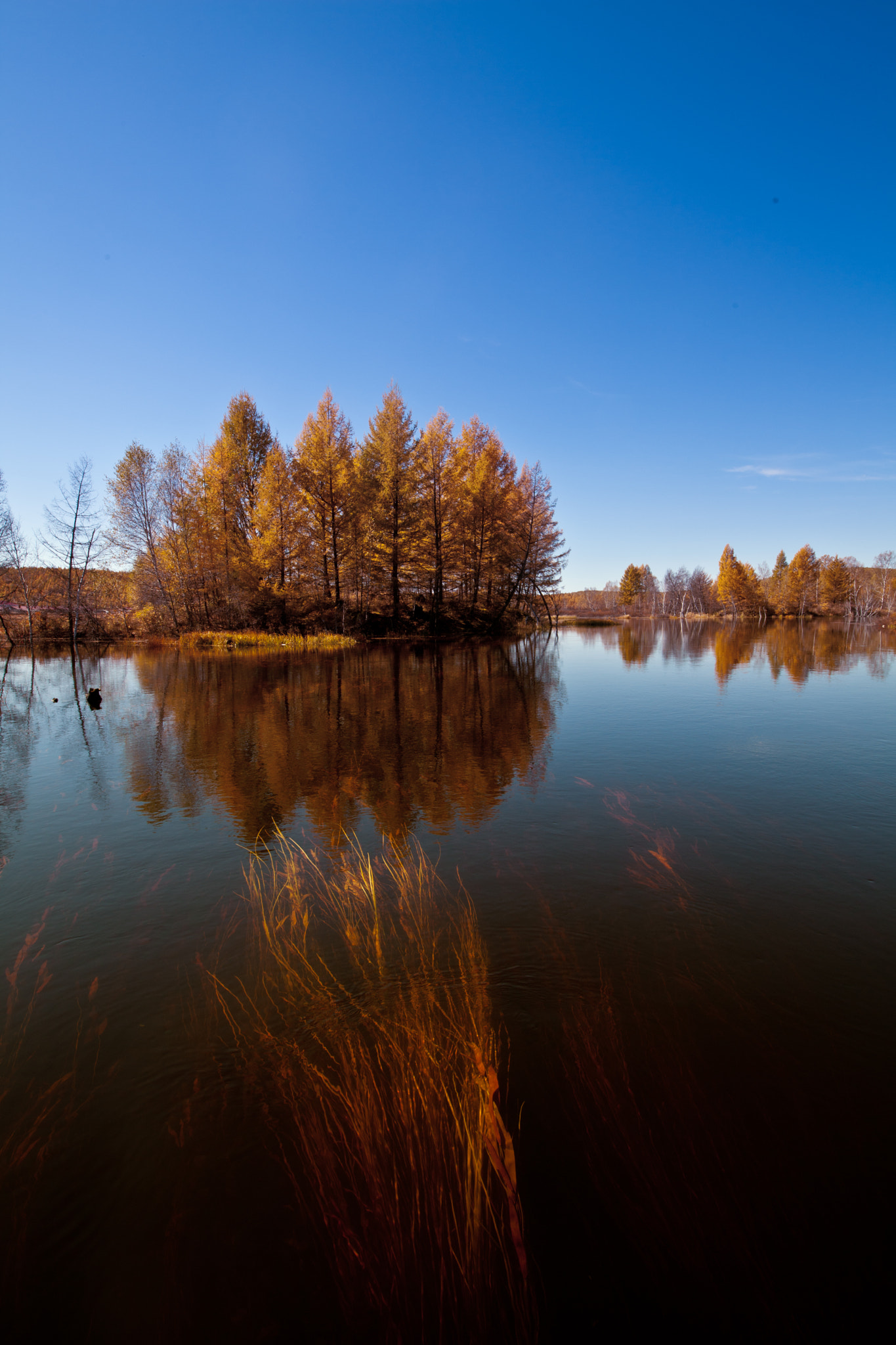 Canon EOS 5D Mark II + Sigma 12-24mm F4.5-5.6 II DG HSM sample photo. Sense of autumn photography