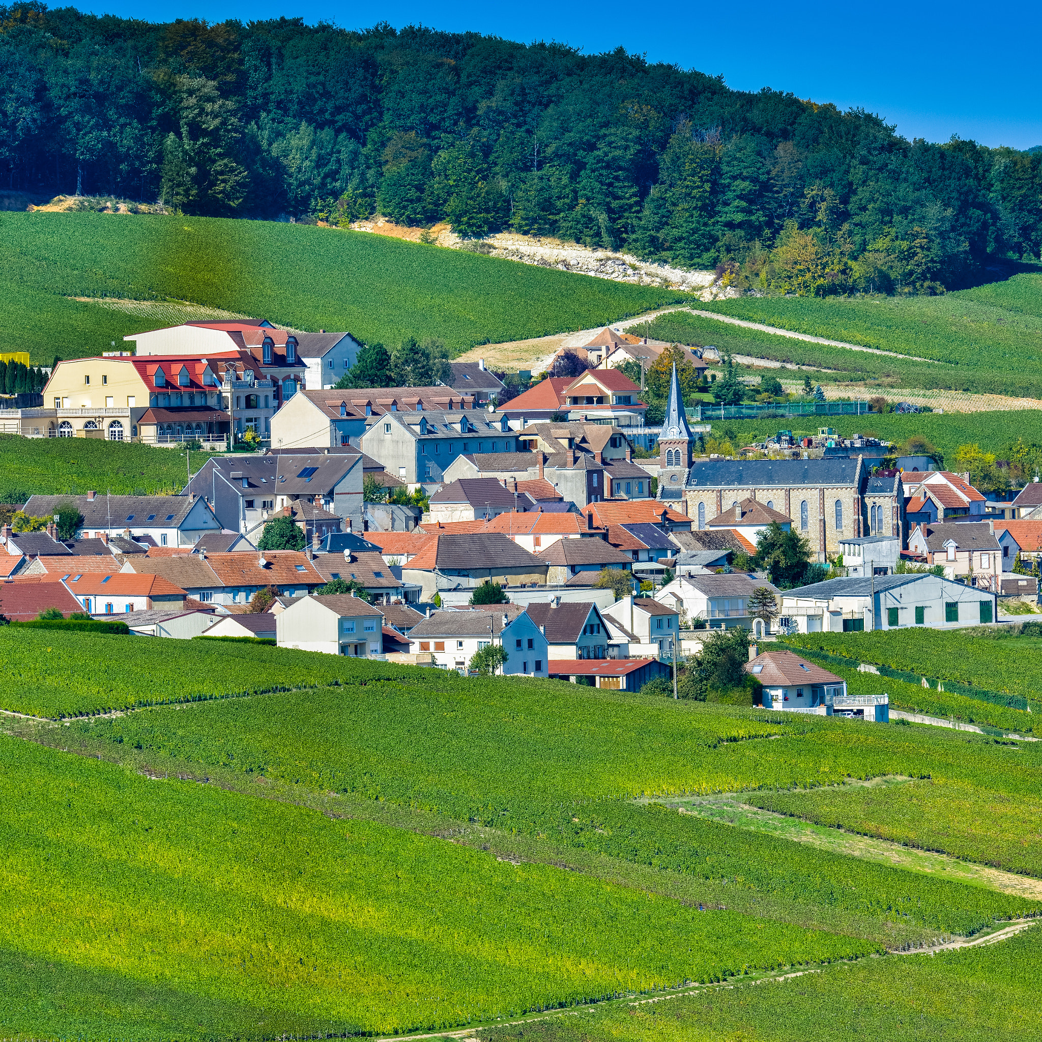 Nikon AF-S Nikkor 300mm F2.8G ED VR II sample photo. Champagne vineyards mancy in marne department, france photography