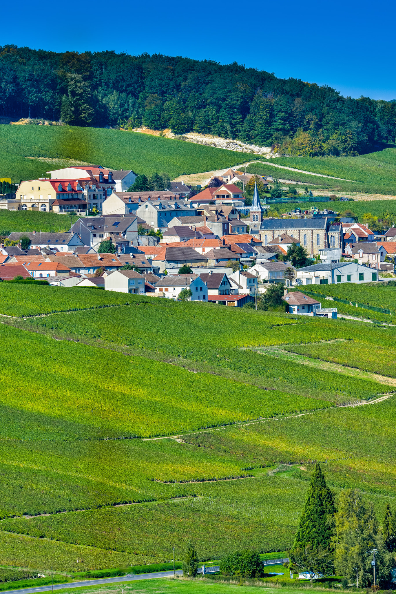 Nikon AF-S Nikkor 300mm F2.8G ED VR II sample photo. Champagne vineyards mancy in marne department, france photography