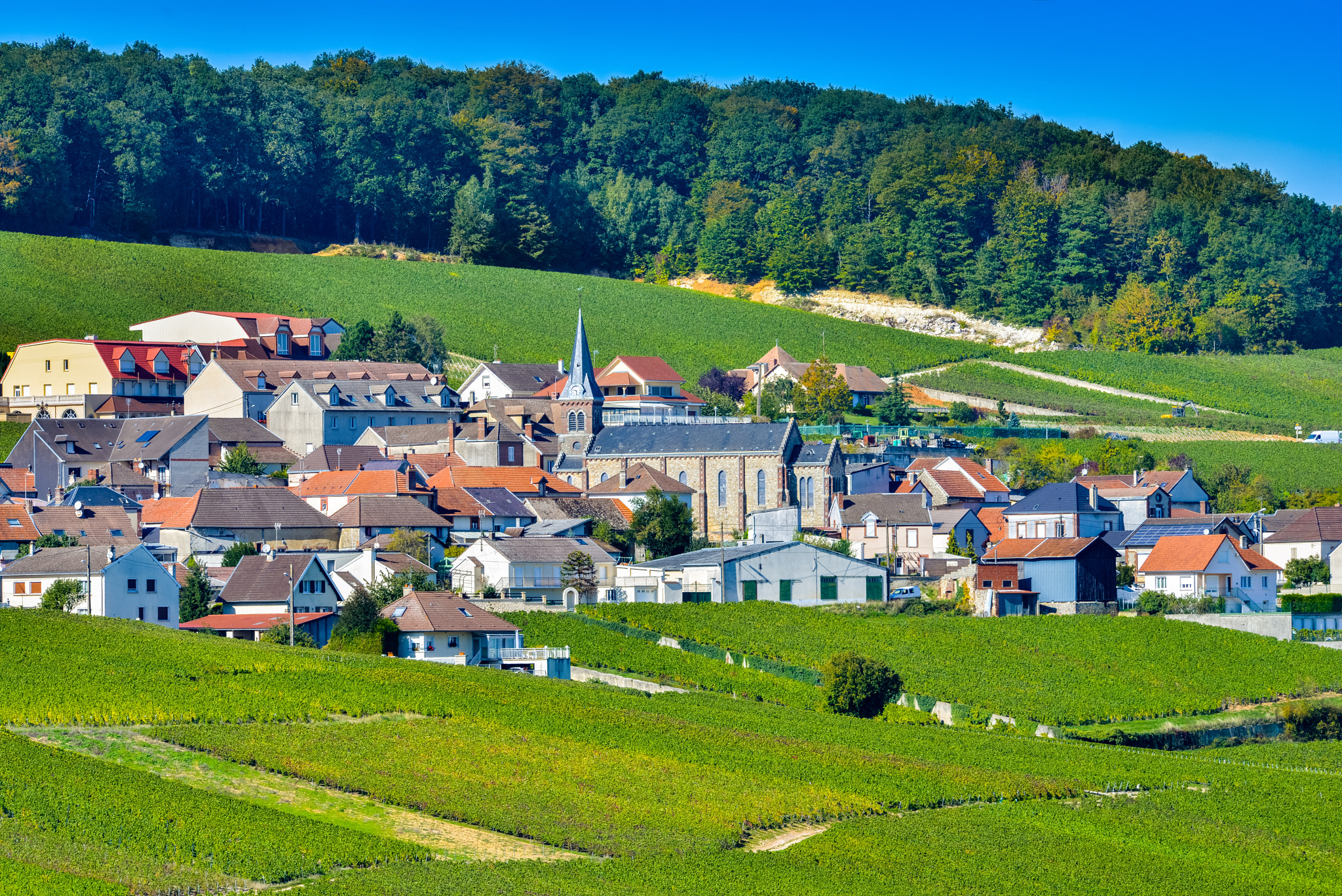 Nikon AF-S Nikkor 300mm F2.8G ED VR II sample photo. Champagne vineyards mancy in marne department, france photography