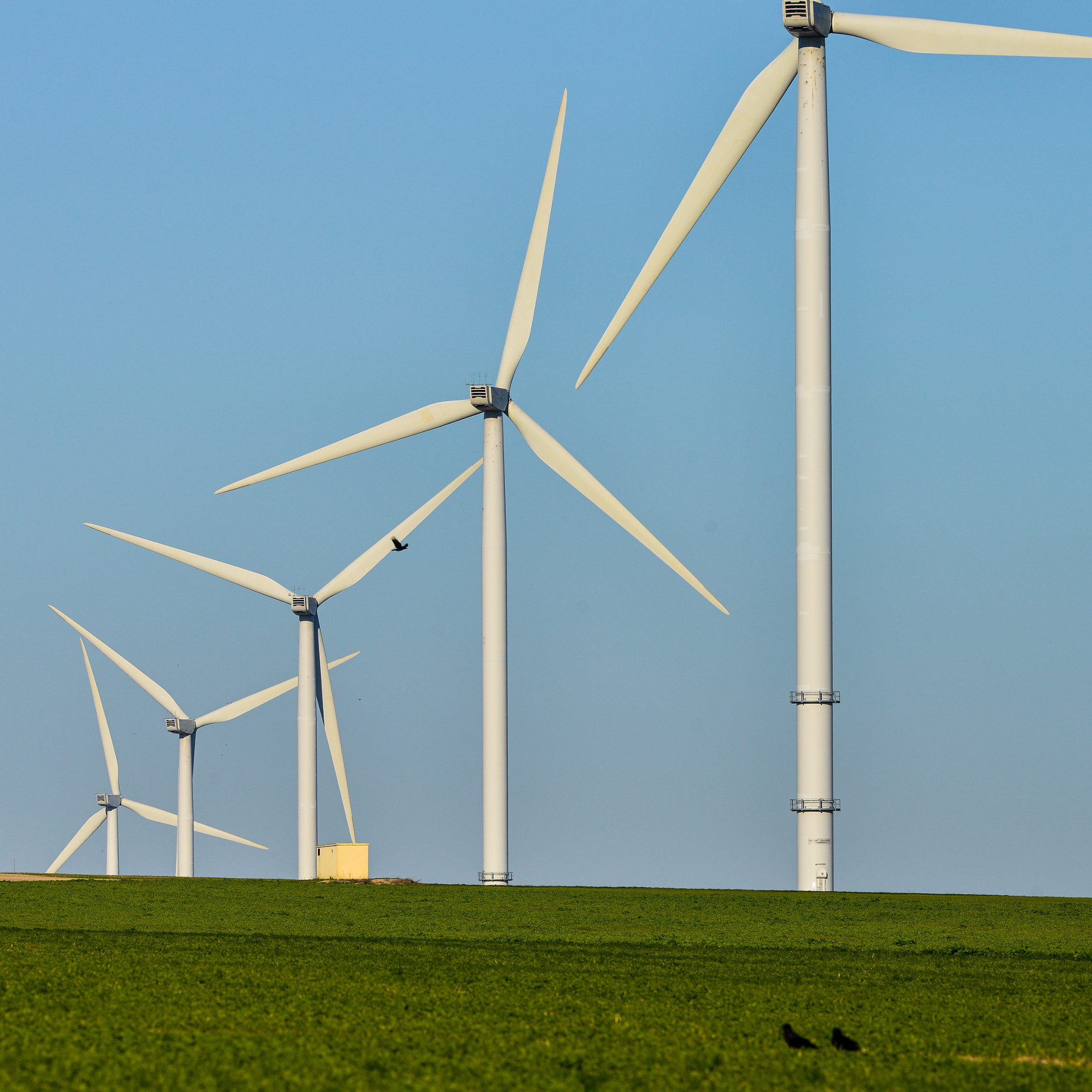 Nikon AF-S Nikkor 300mm F2.8G ED VR II sample photo. Windmills for electric power production on blue sky photography