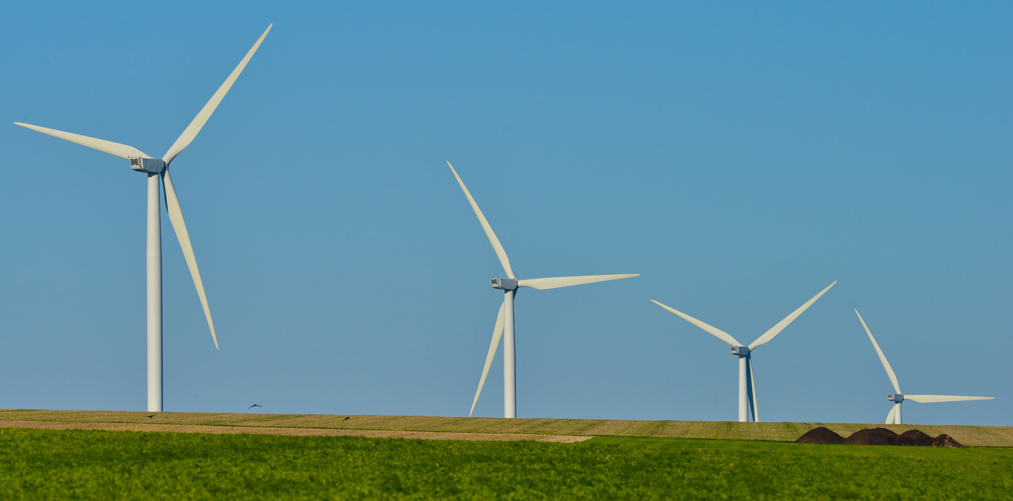 Nikon D800E + Nikon AF-S Nikkor 300mm F2.8G ED VR II sample photo. Windmills for electric power production on blue sky photography