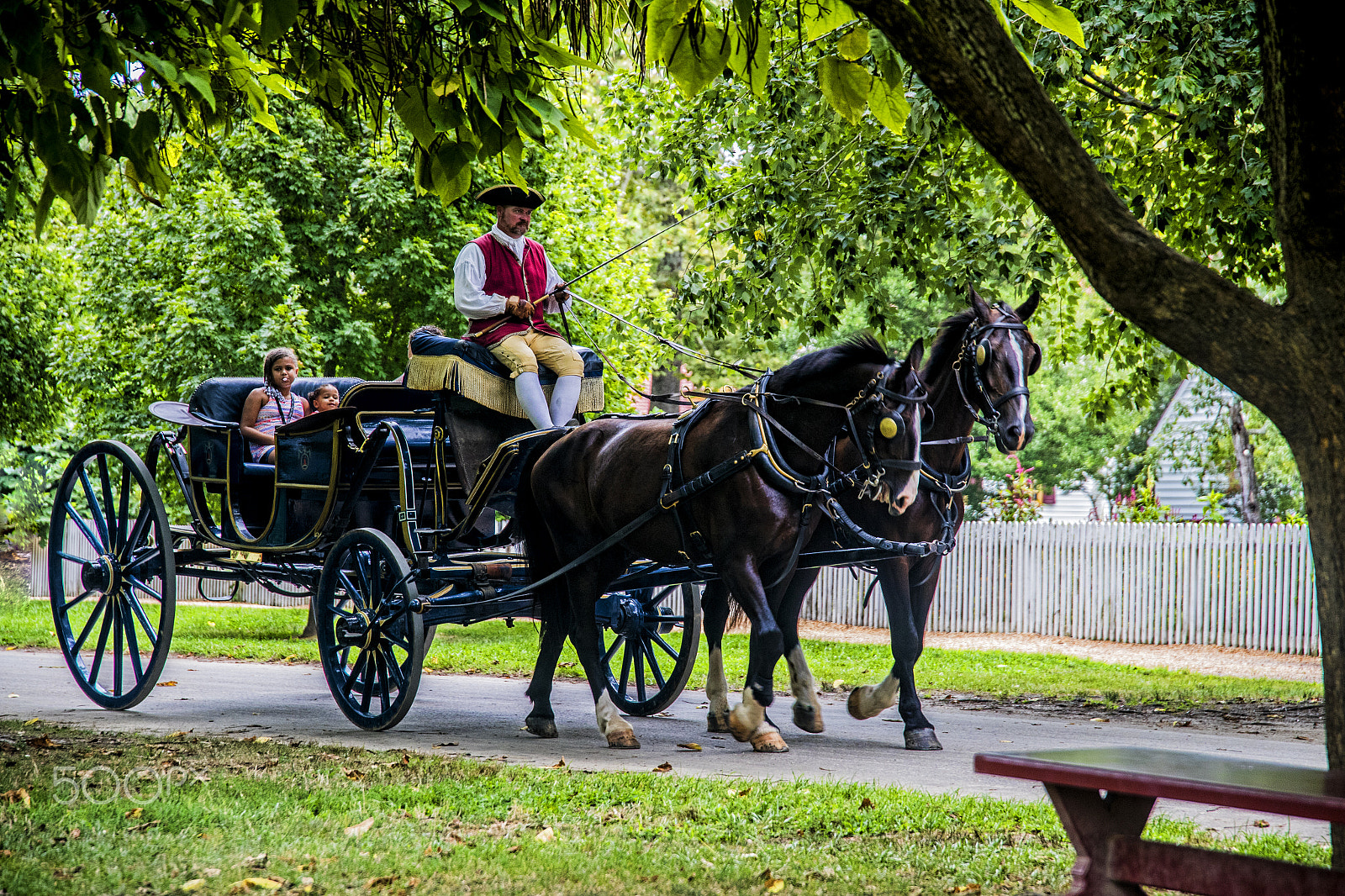 Canon EOS-1D X Mark II + Sigma 24-105mm f/4 DG OS HSM | A sample photo. Coachman and passengers in horse carriage 11541t photography