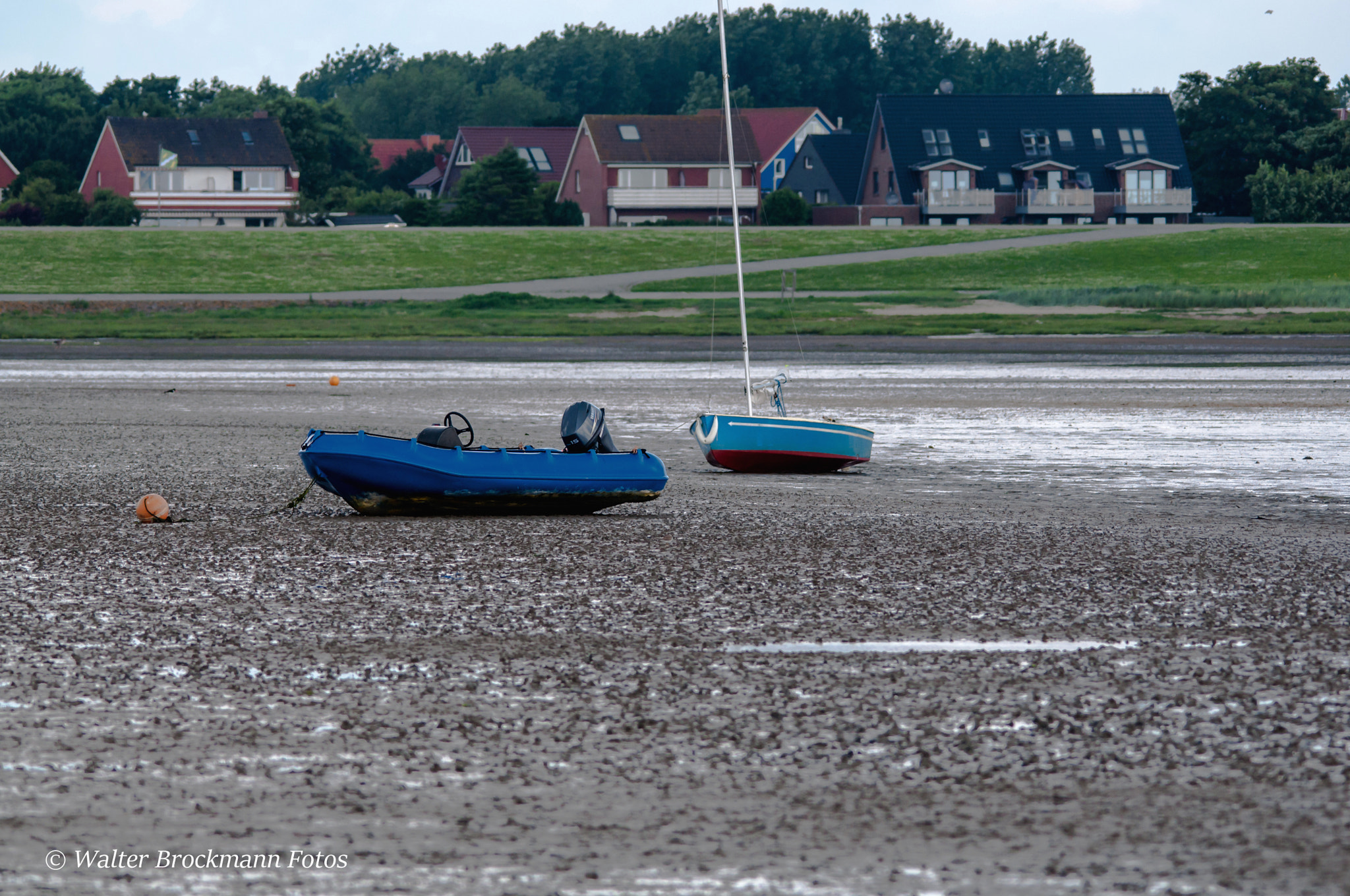 Sigma 150-500mm F5-6.3 DG OS HSM sample photo. Ebbe photography