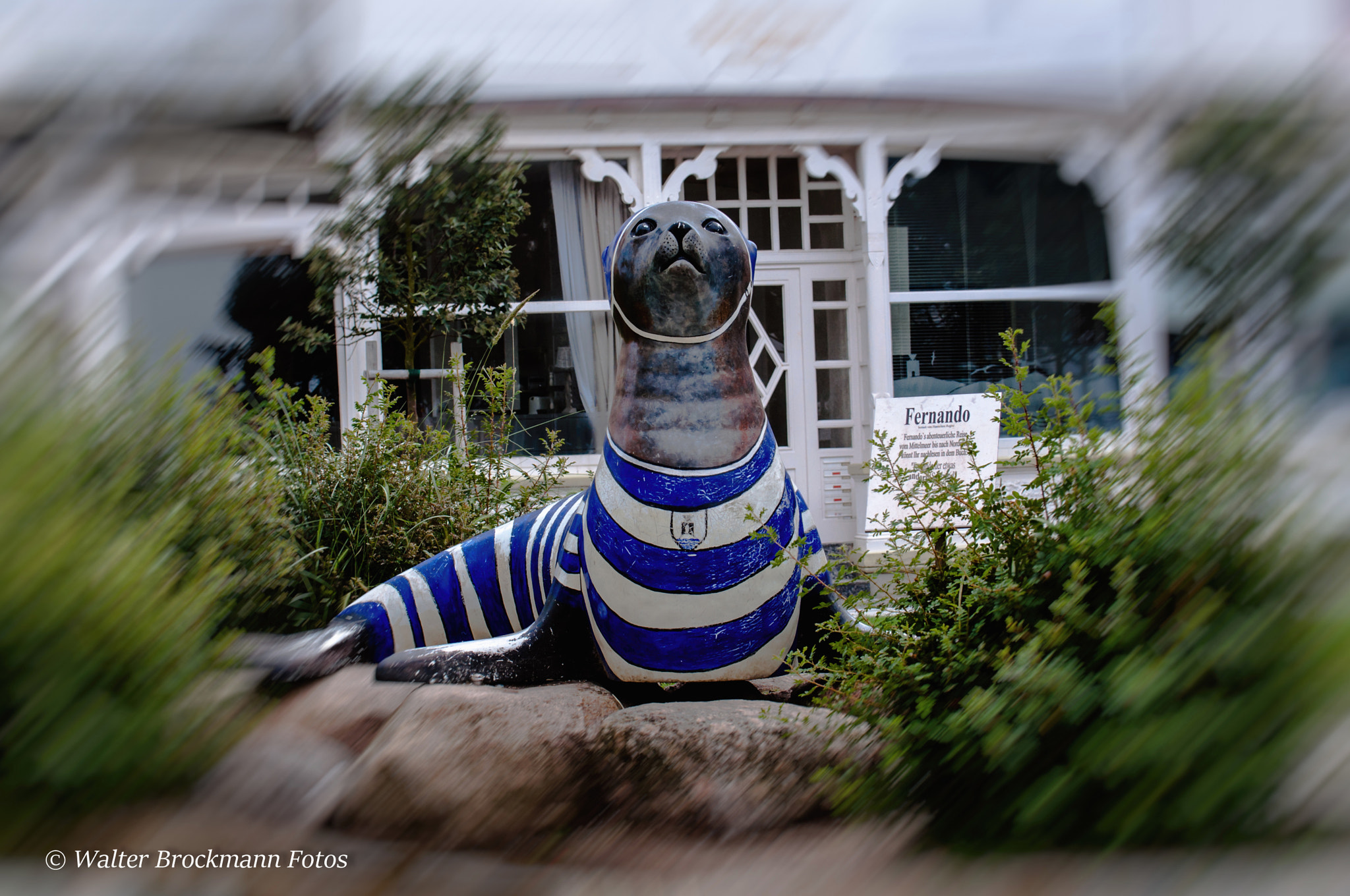 Nikon D5000 sample photo. Seehund photography
