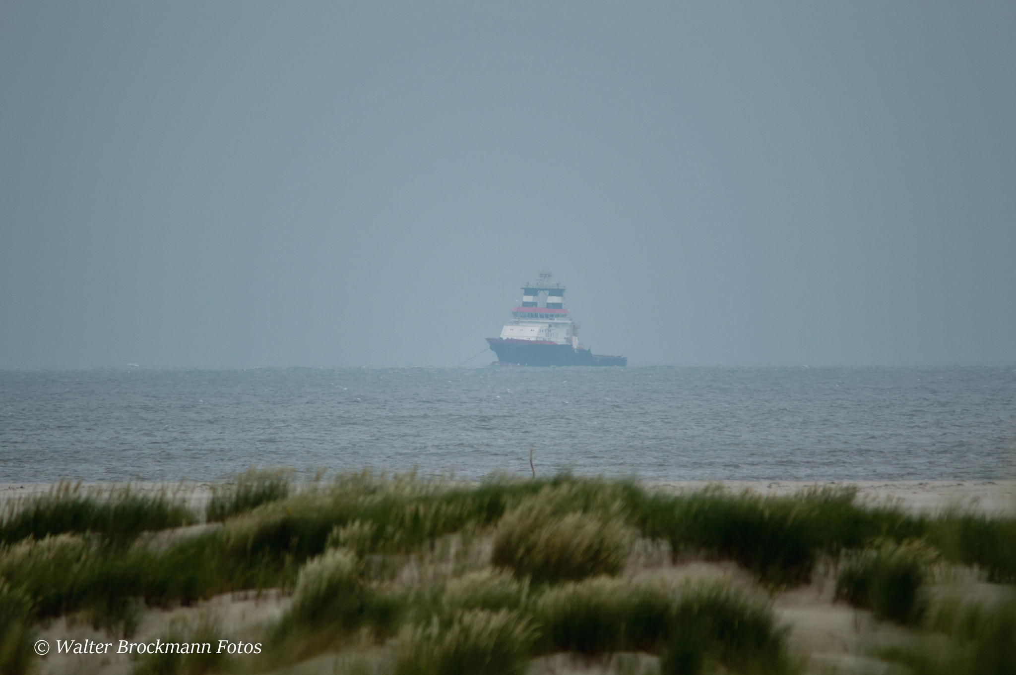 Sigma 150-500mm F5-6.3 DG OS HSM sample photo. Dampfer photography