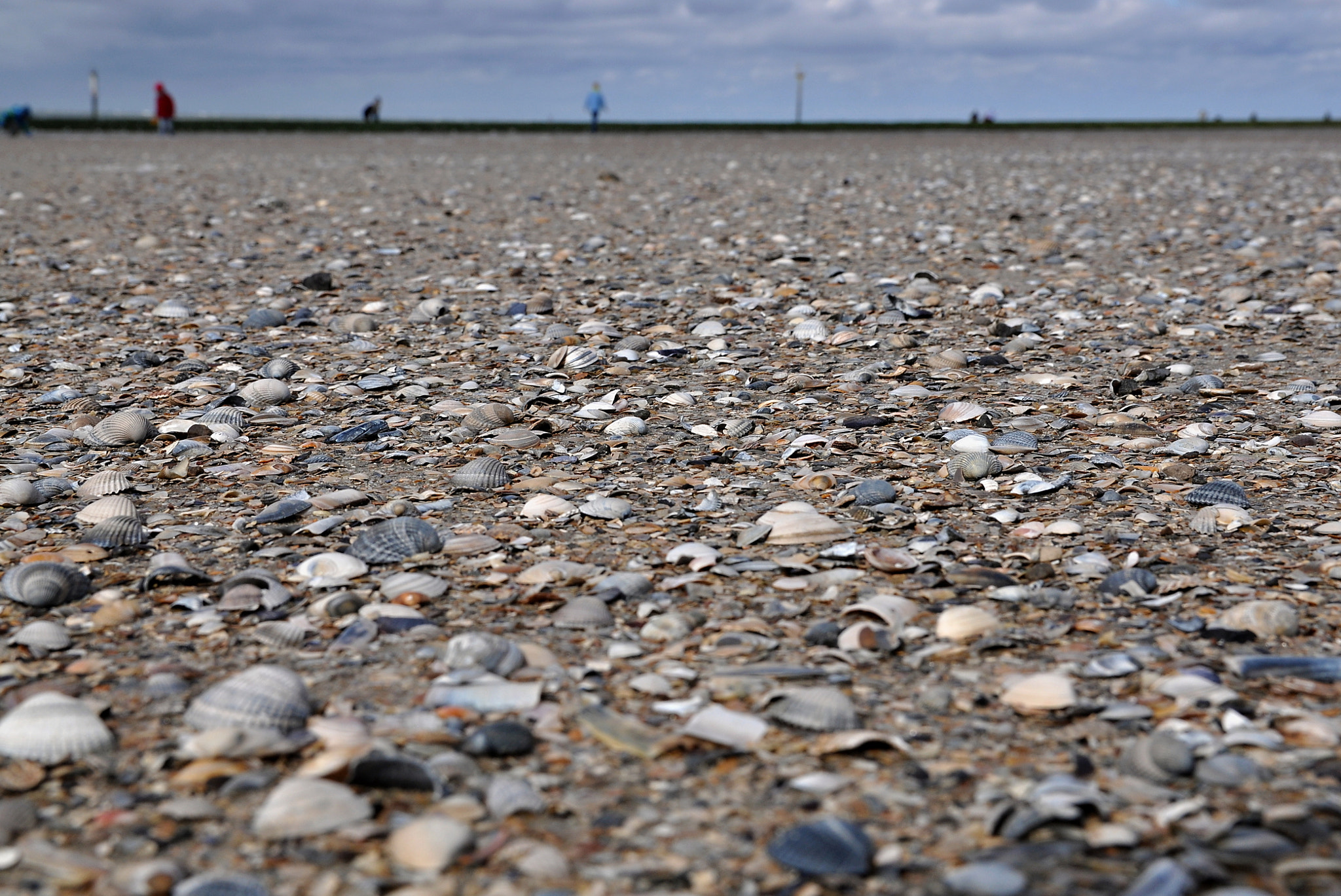 Sigma 17-50mm F2.8 EX DC OS HSM sample photo. Muschelstrand photography