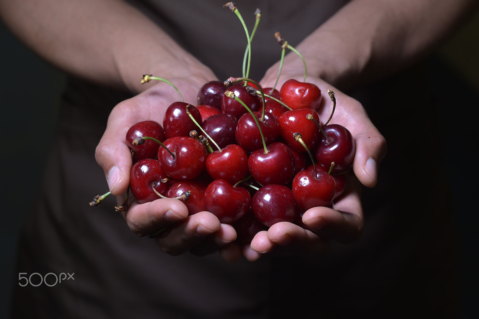 Nikon D4S + Nikon AF-S Nikkor 85mm F1.4G sample photo. Sweet cherries in hands photography