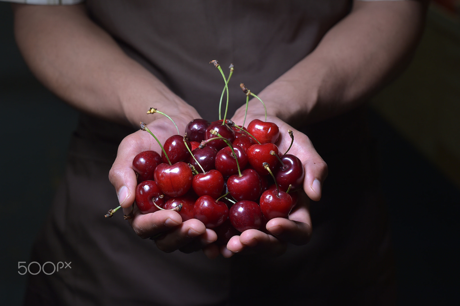 Nikon D4S + Nikon AF-S Nikkor 85mm F1.4G sample photo. Sweet cherries in hands photography