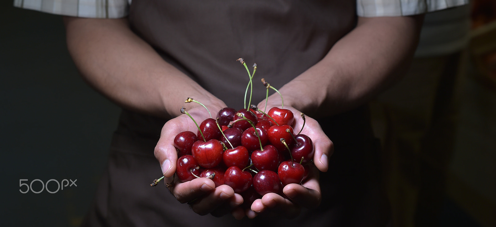 Nikon D4S + Nikon AF-S Nikkor 85mm F1.4G sample photo. Sweet cherries in hands photography