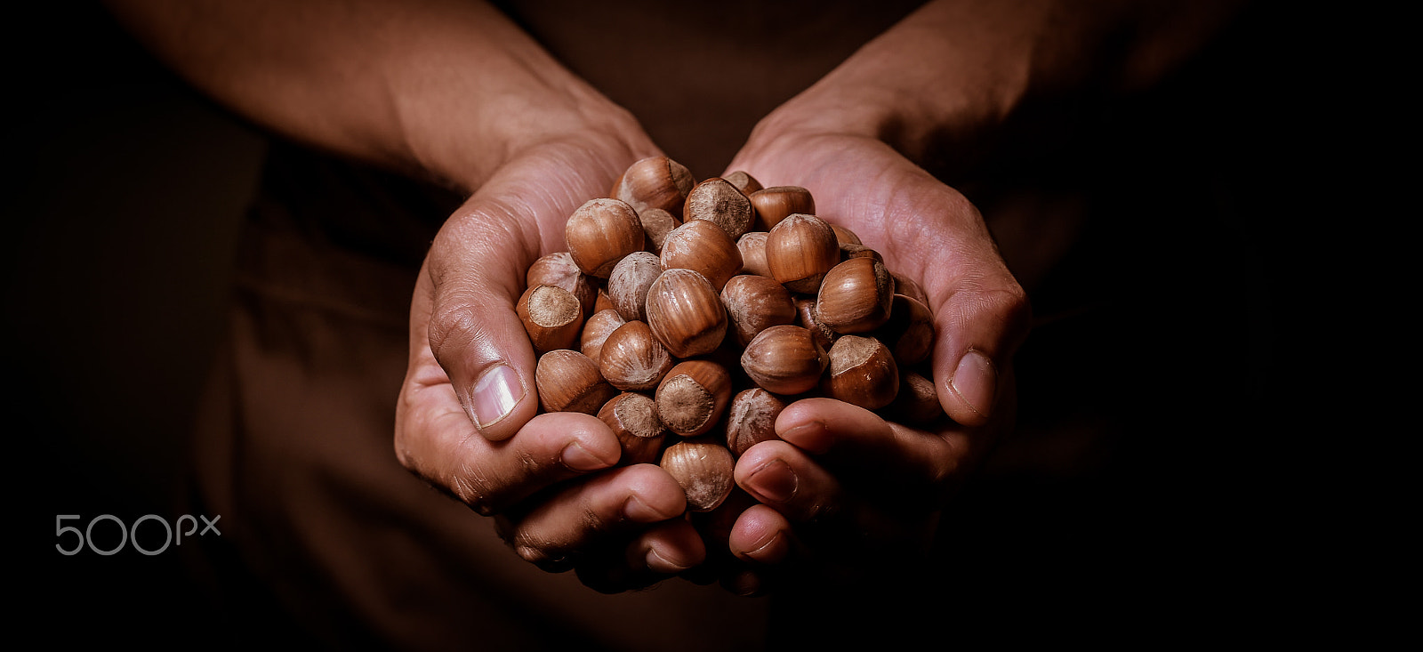 Nikon D4S + Nikon AF-S Nikkor 85mm F1.4G sample photo. Hazelnuts in two hands photography