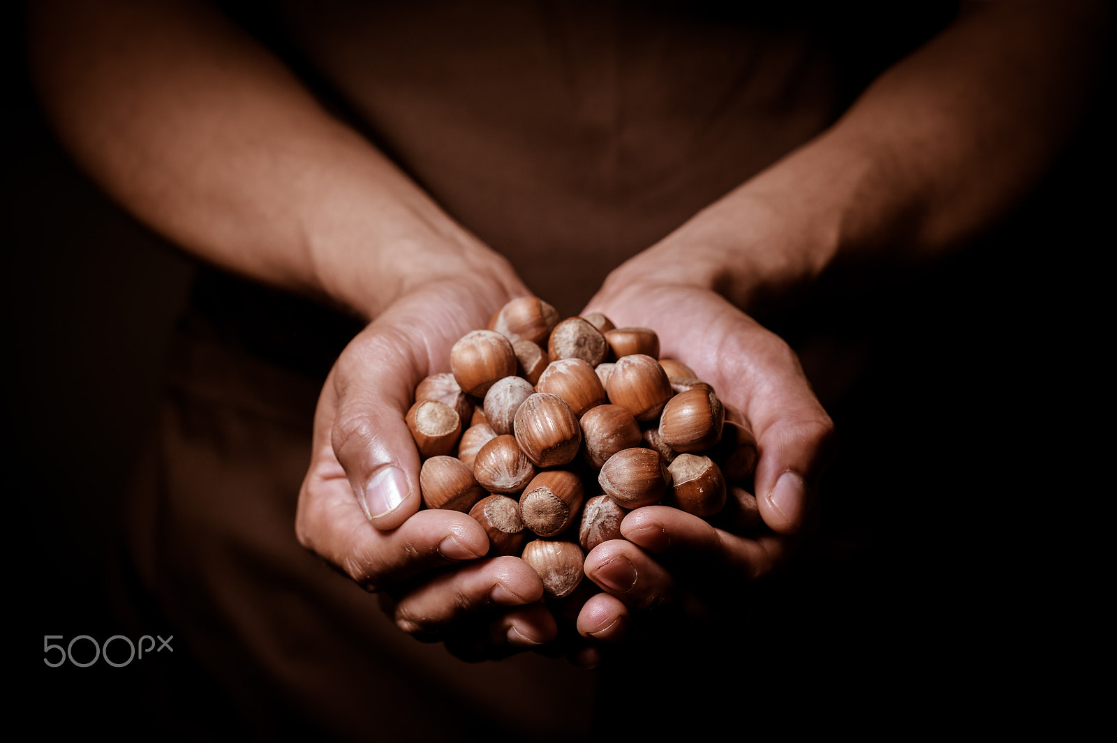 Nikon D4S + Nikon AF-S Nikkor 85mm F1.4G sample photo. Hazelnuts in two hands photography