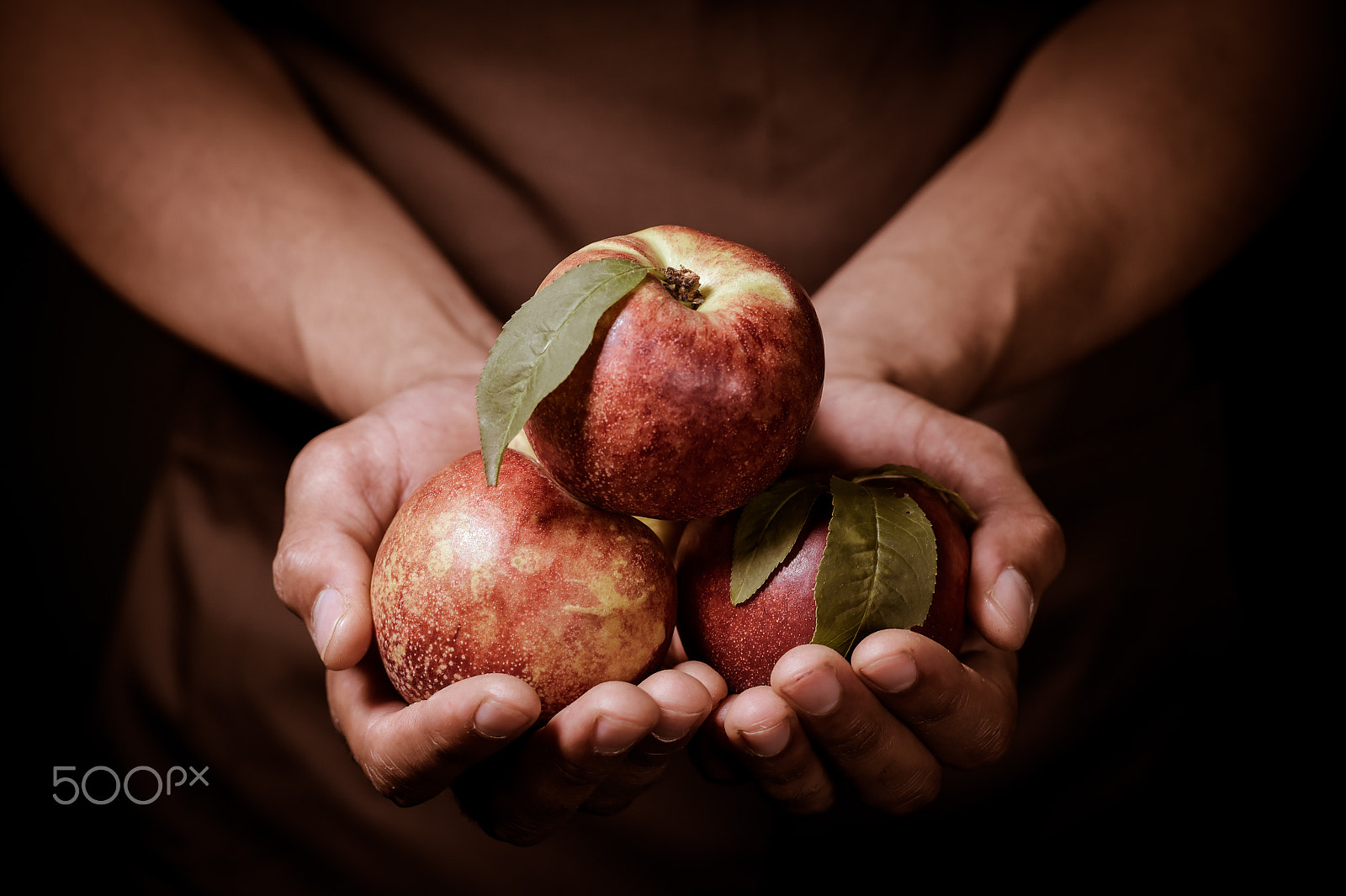 Nikon D4S + Nikon AF-S Nikkor 85mm F1.4G sample photo. Organic fruit and vegetables. farmers hands with freshly harvested peach. photography