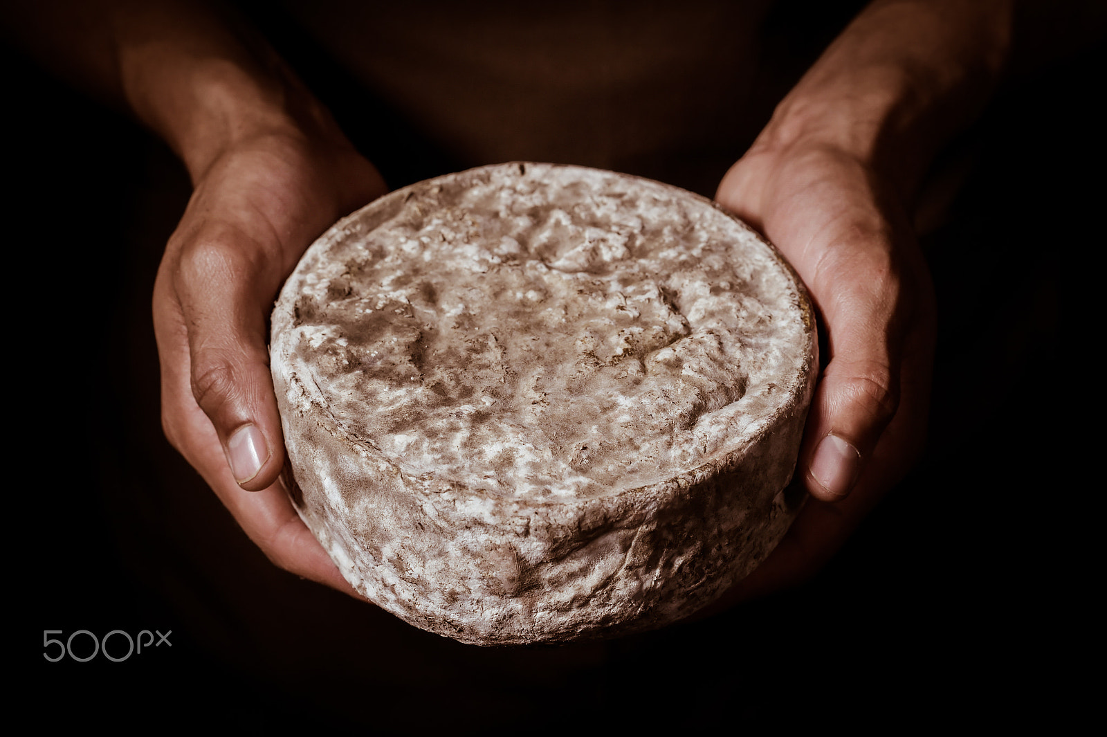 Nikon D4S + Nikon AF-S Nikkor 85mm F1.4G sample photo. French tomme cheese in the hands of a cheesemaker photography