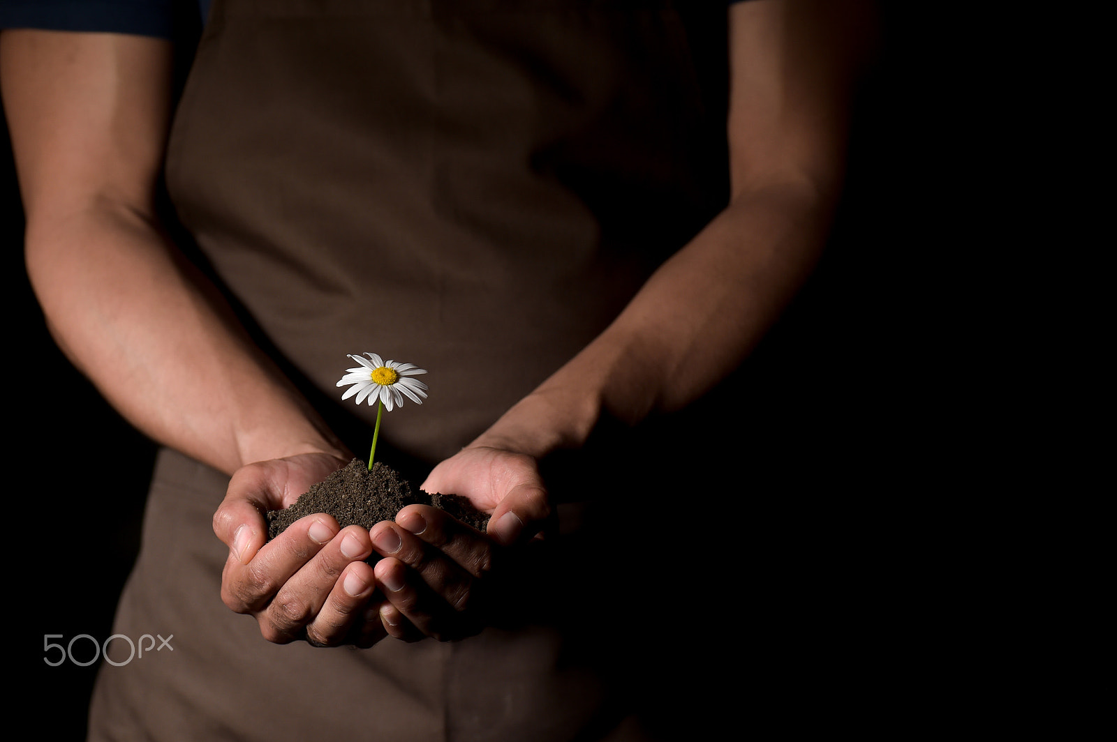 Nikon D4S sample photo. Hands holdings a little flower plant photography