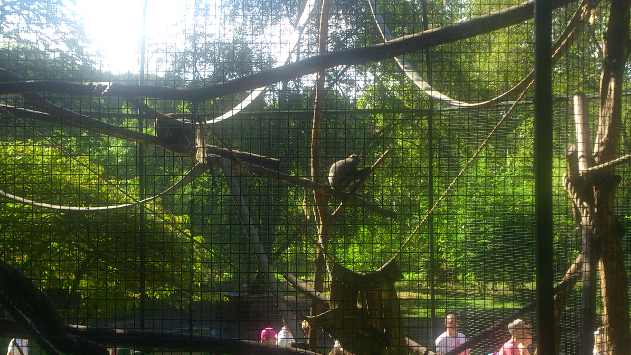 Sony Ericsson Xperia S sample photo. Singe photography