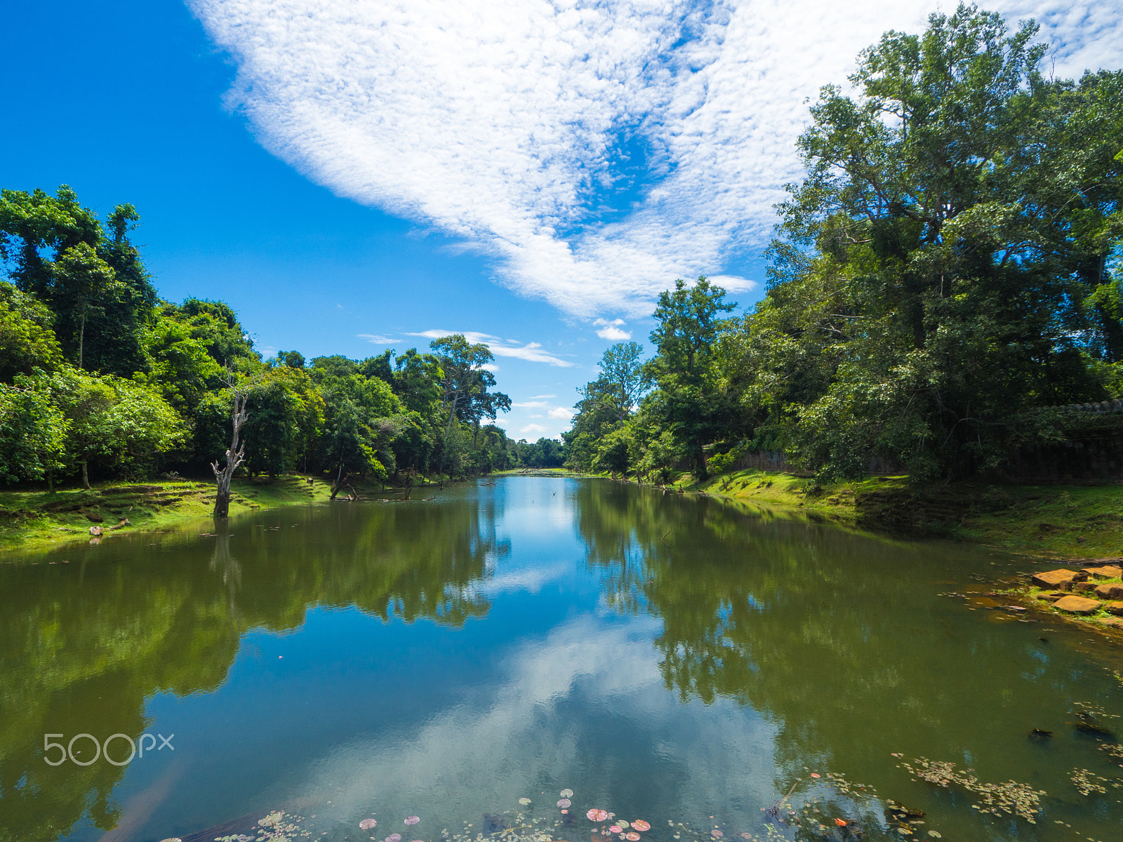 OLYMPUS M.9-18mm F4.0-5.6 sample photo. Perfect blend photography