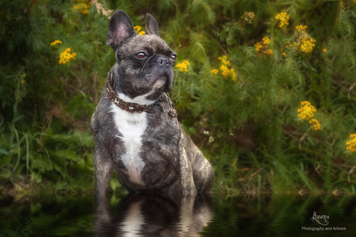 Olympus OM-D E-M1 + OLYMPUS 50mm Lens sample photo. Keep cool... photography