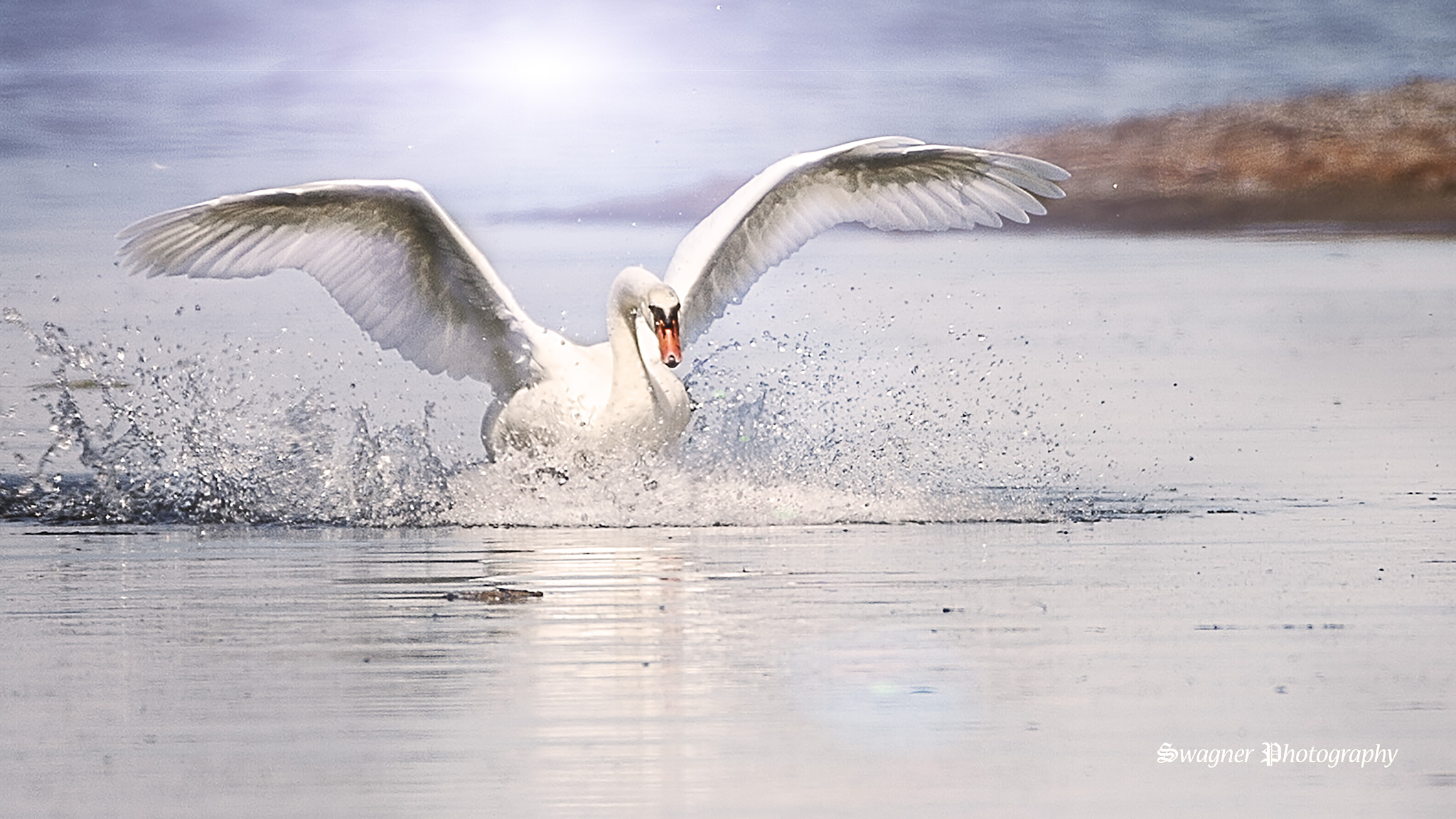 150-600mm F5-6.3 DG OS HSM | Contemporary 015 sample photo. Full span photography