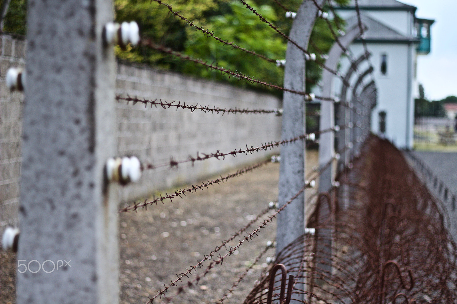 Canon EOS 600D (Rebel EOS T3i / EOS Kiss X5) + Canon EF 50mm F1.8 II sample photo. Concentration camp sachsenhausen fence photography