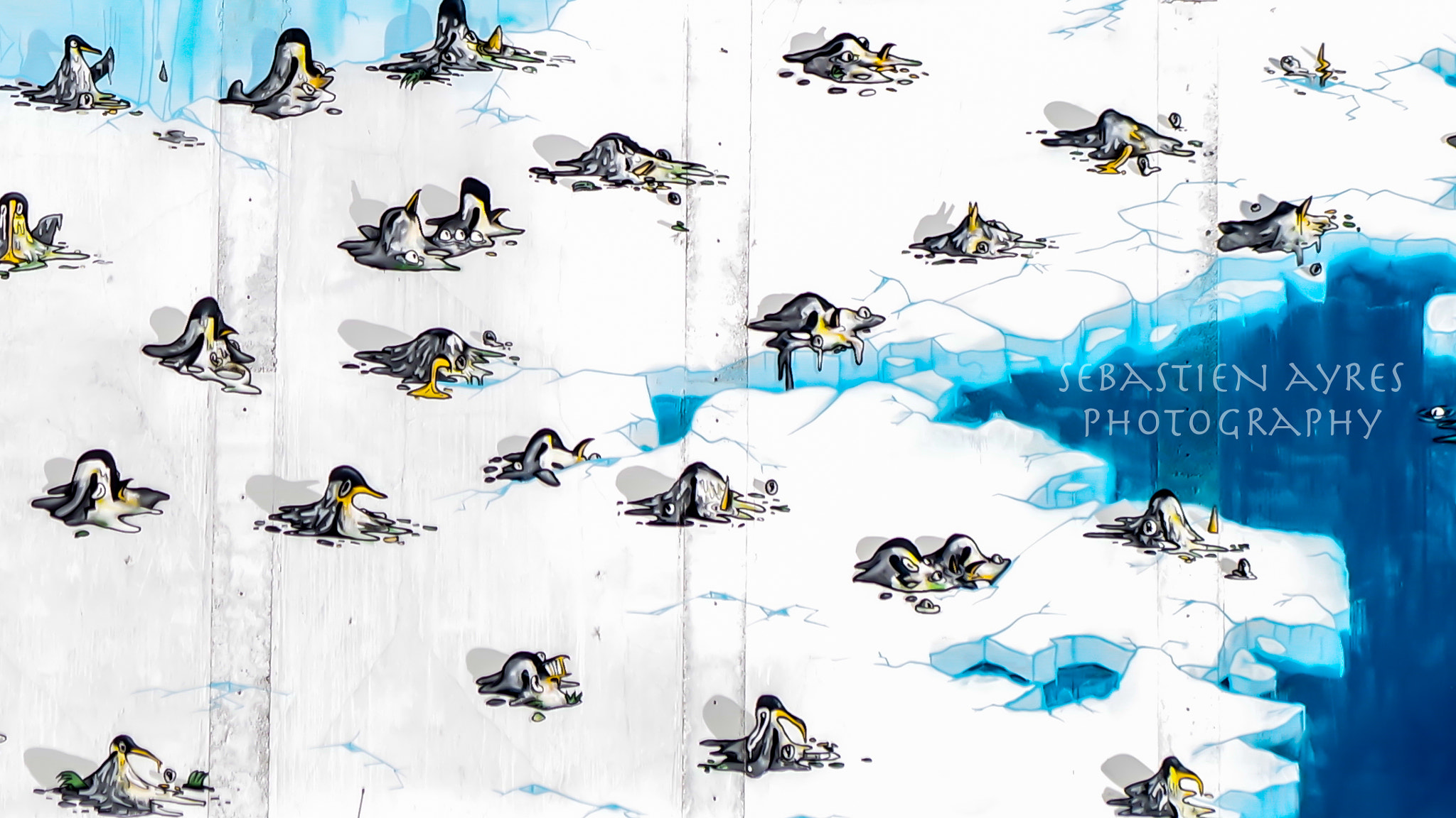 Pentax K-S2 sample photo. Melted penguins photography