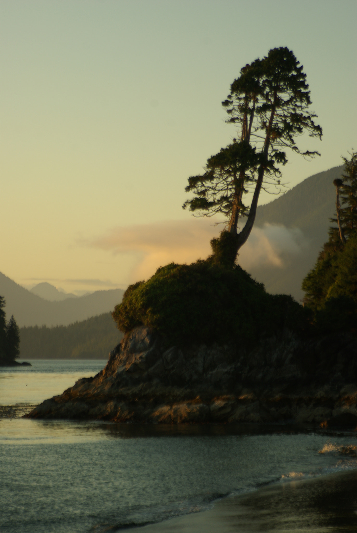 Tamron AF 28-200mm F3.8-5.6 XR Di Aspherical (IF) Macro sample photo. Canadian seashore mist photography