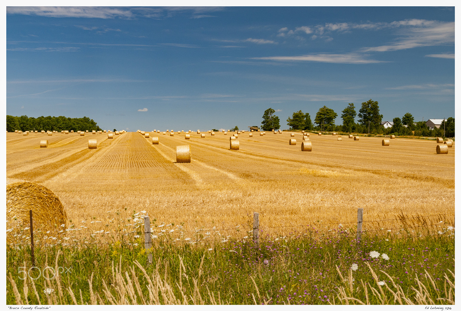 Nikon D300 sample photo. "bruce county roadside" photography