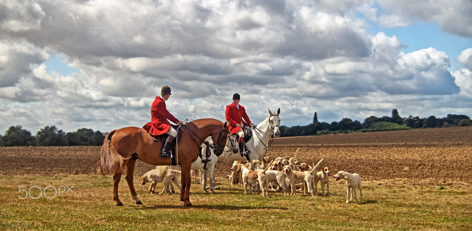 Sony DT 18-250mm F3.5-6.3 sample photo. Fox and hounds photography