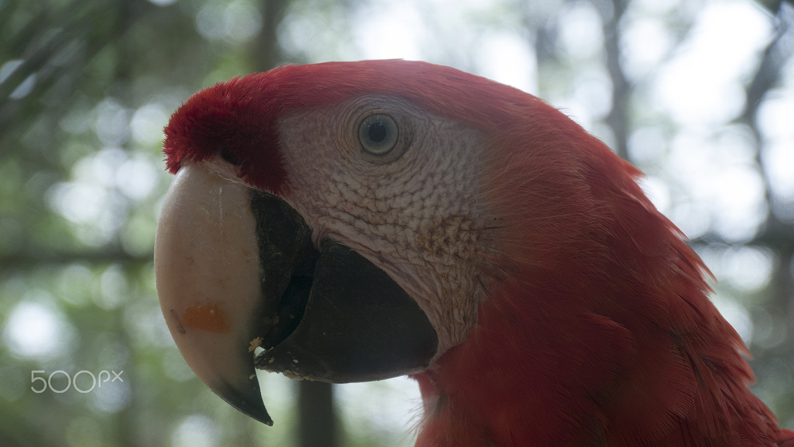 Panasonic Lumix DMC-GH1 sample photo. Playa tambor costa rica photography