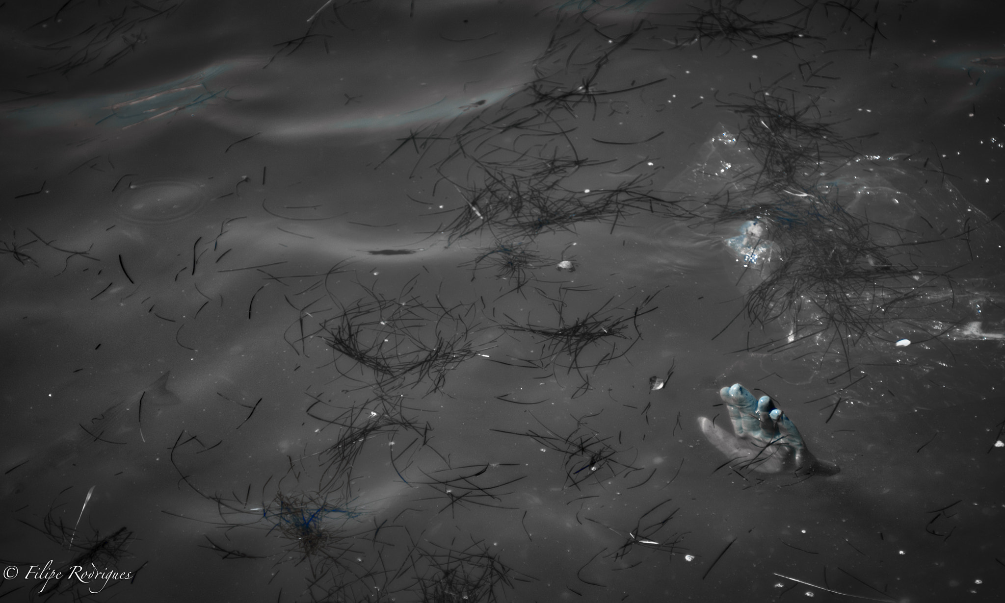 Nikon AF-S Nikkor 28-70mm F2.8 ED-IF sample photo. Hulk emerging from the depths photography