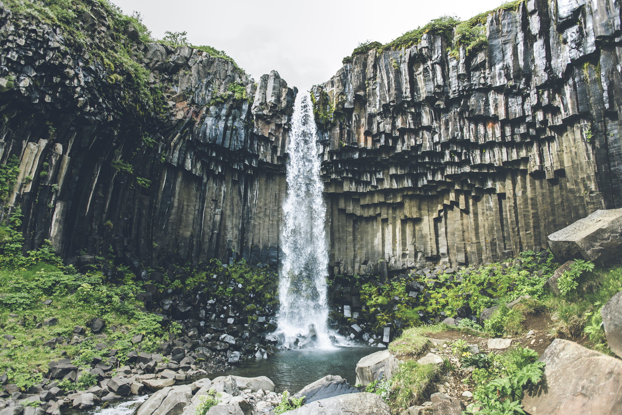 Nikon D810A sample photo. Svartifoss at iceland photography