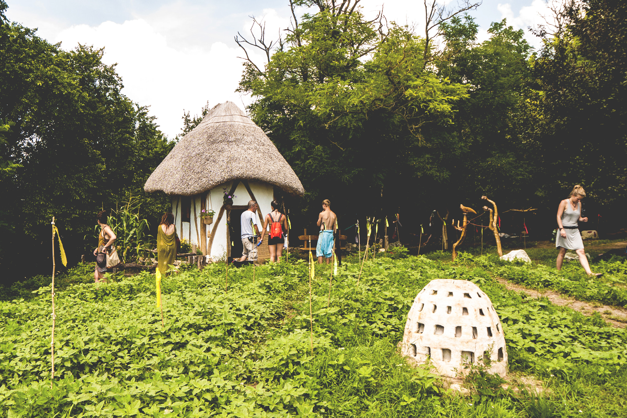 Panasonic Lumix DMC-G1 sample photo. Mushroom house photography