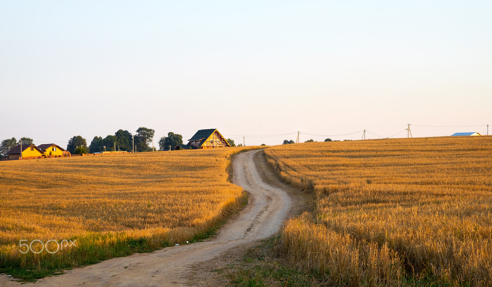 Fujifilm X-E2 + Fujifilm XF 60mm F2.4 R Macro sample photo. Countryside nature landscape with gold color clover flower field and rural road near village at... photography