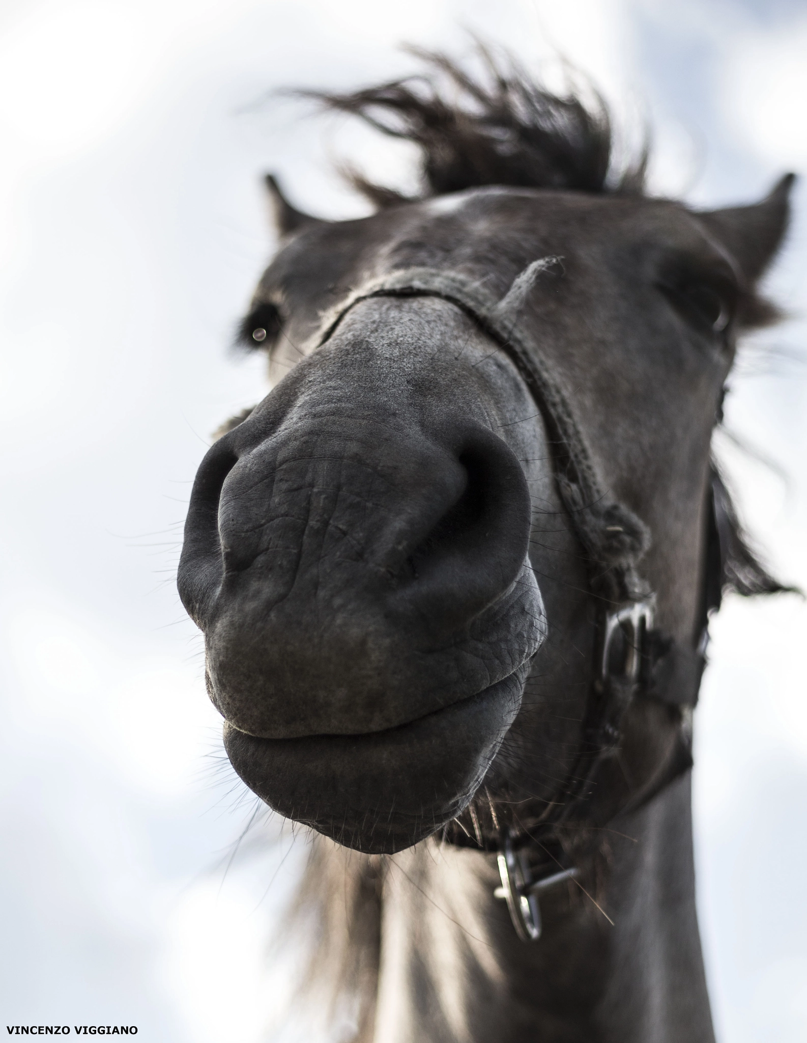 Canon EF 50mm F1.8 II sample photo. Face photography
