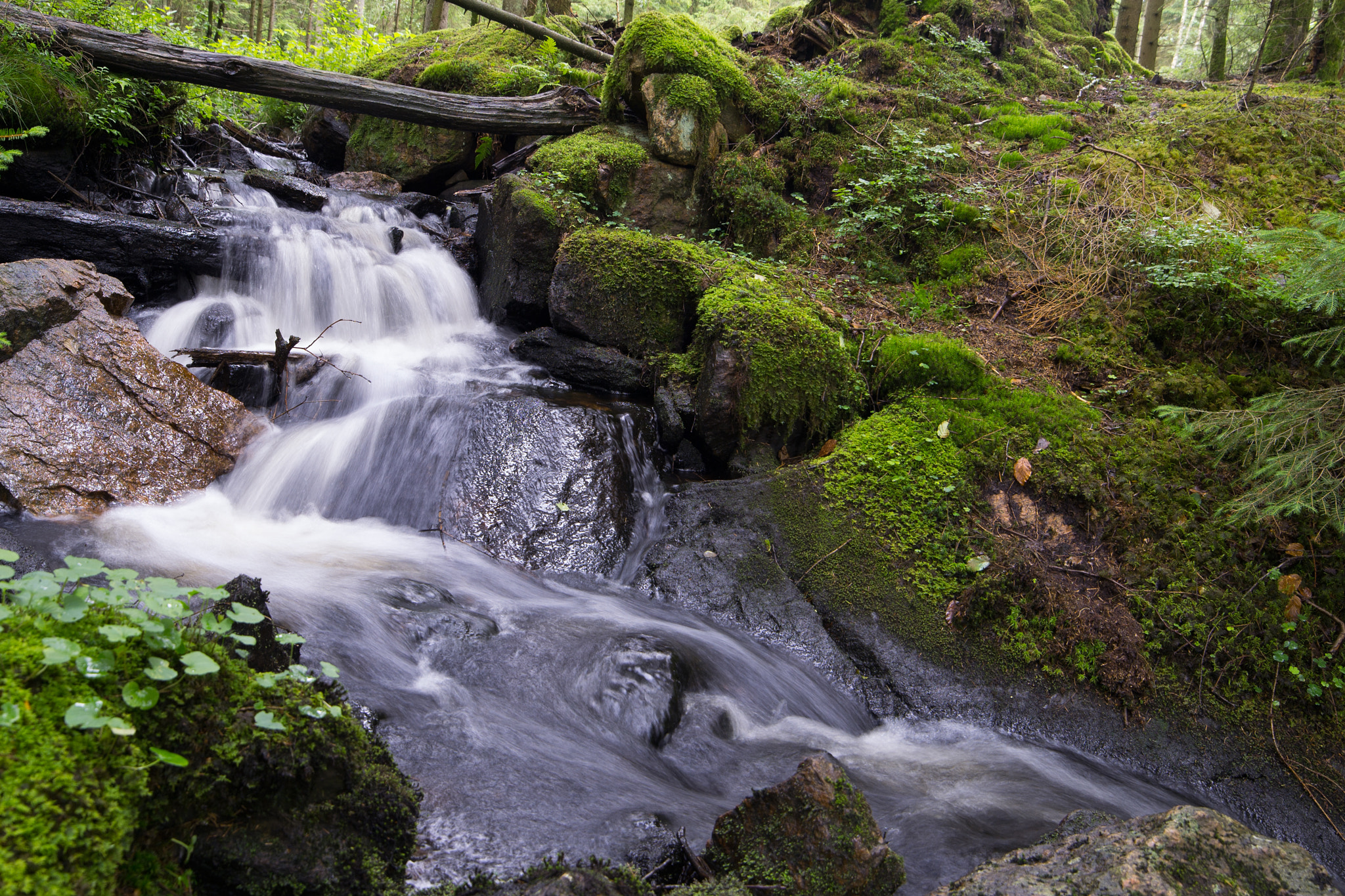 Nikon D3100 + Samyang 14mm F2.8 ED AS IF UMC sample photo. Waterfall in the forest photography
