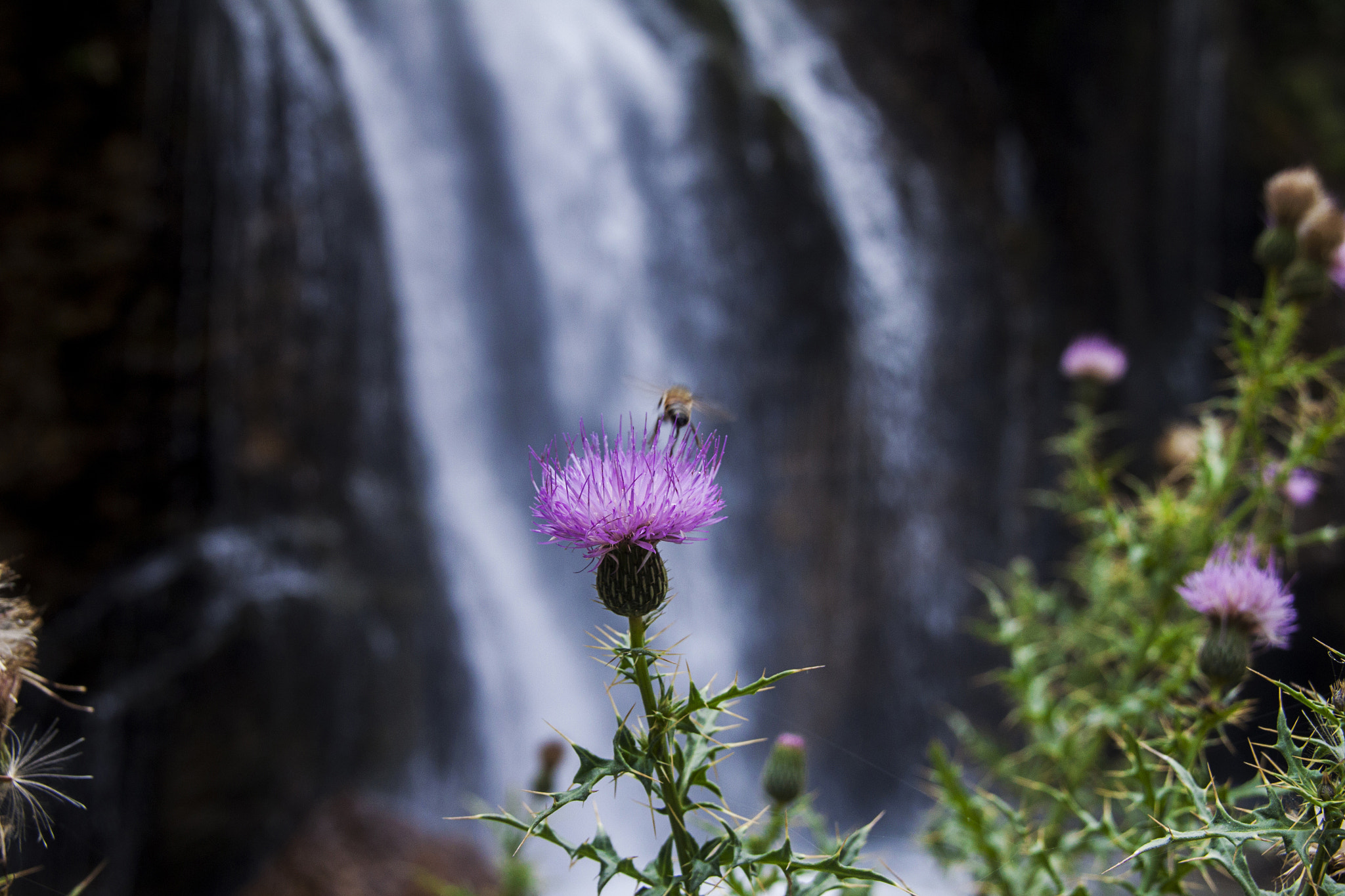 Sigma 18-200mm f/3.5-6.3 DC OS sample photo. Waterfall 2 photography