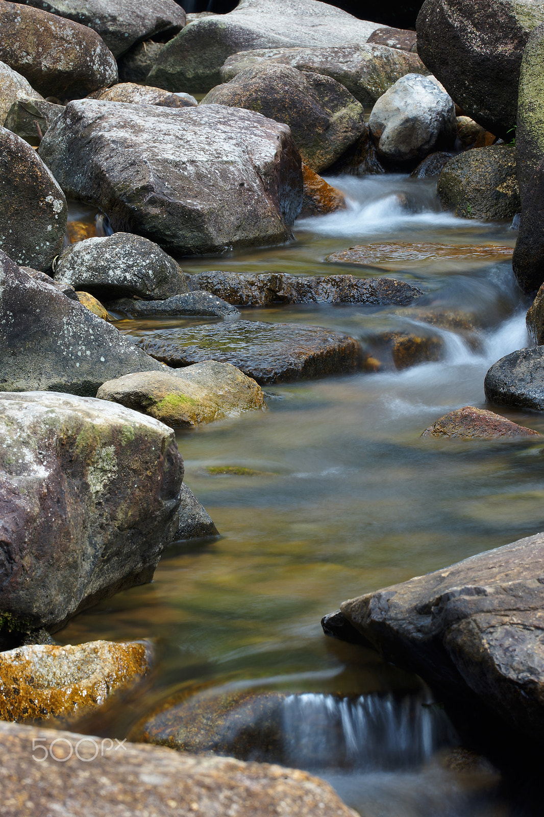 Sony a99 II sample photo. Quarry bay park, hong kong photography