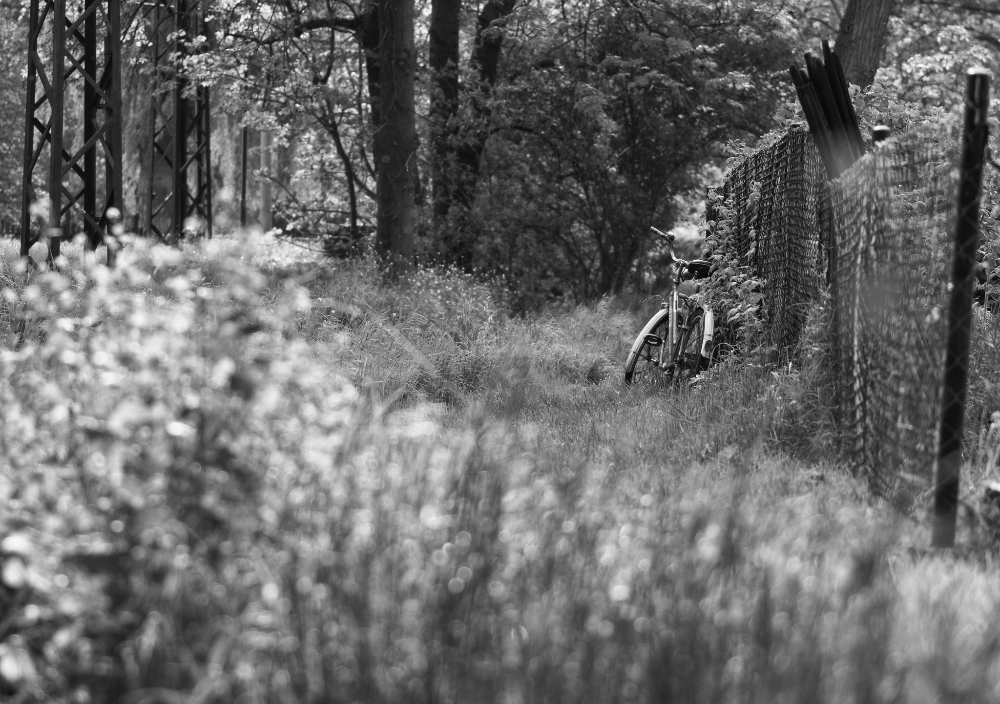 Nikon D3100 + Tamron SP 90mm F2.8 Di VC USD 1:1 Macro sample photo. Lonely bicycle on a fence photography