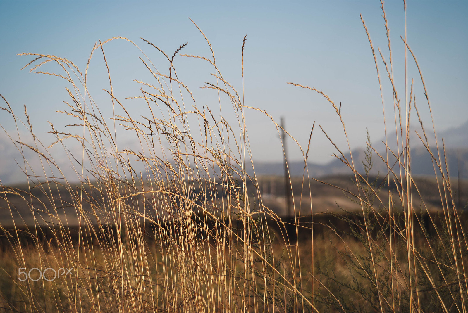 Minolta AF 35-105mm F3.5-4.5 sample photo. Evening photography