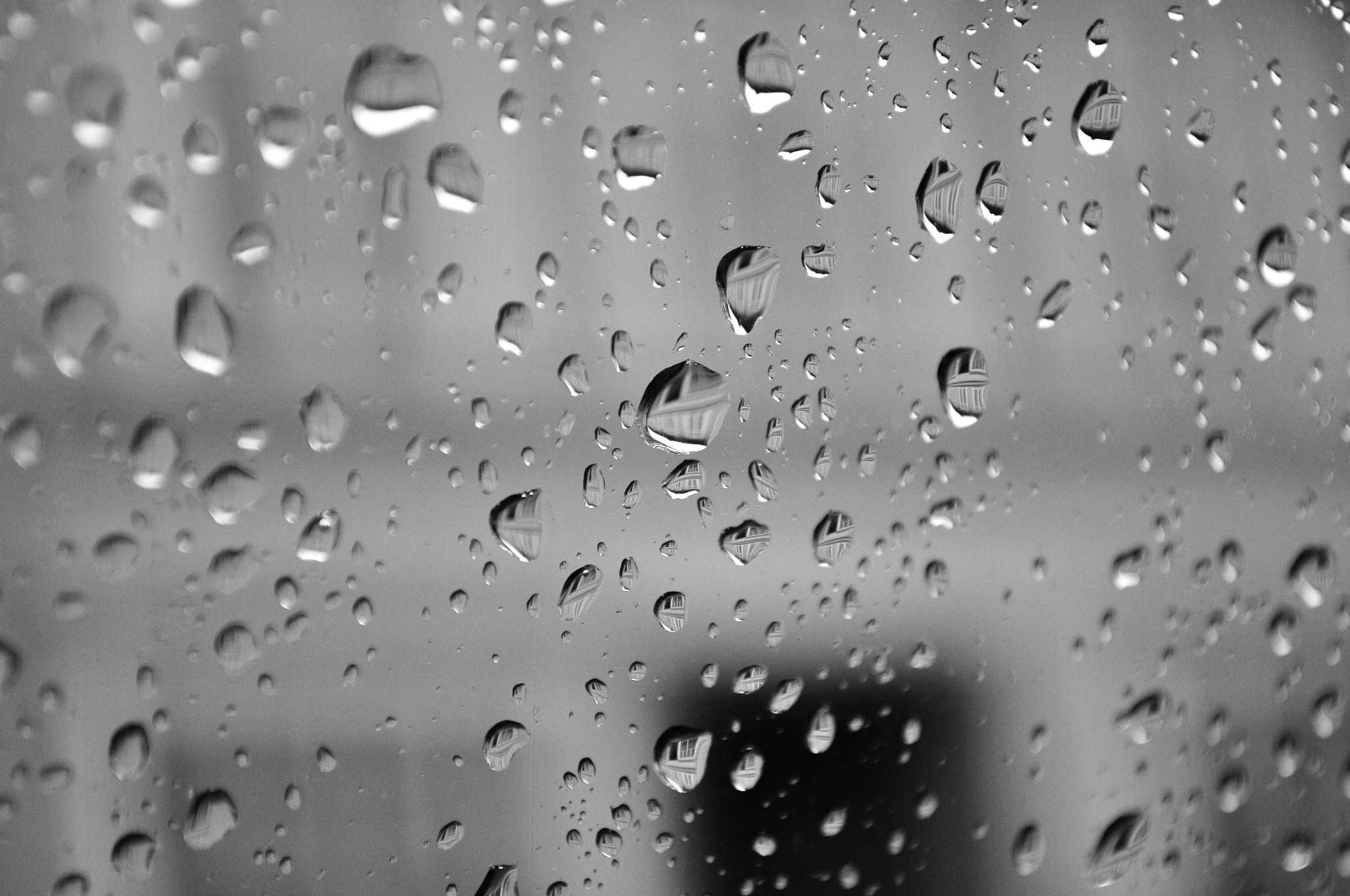 Nikon D300S sample photo. Water pearls photography