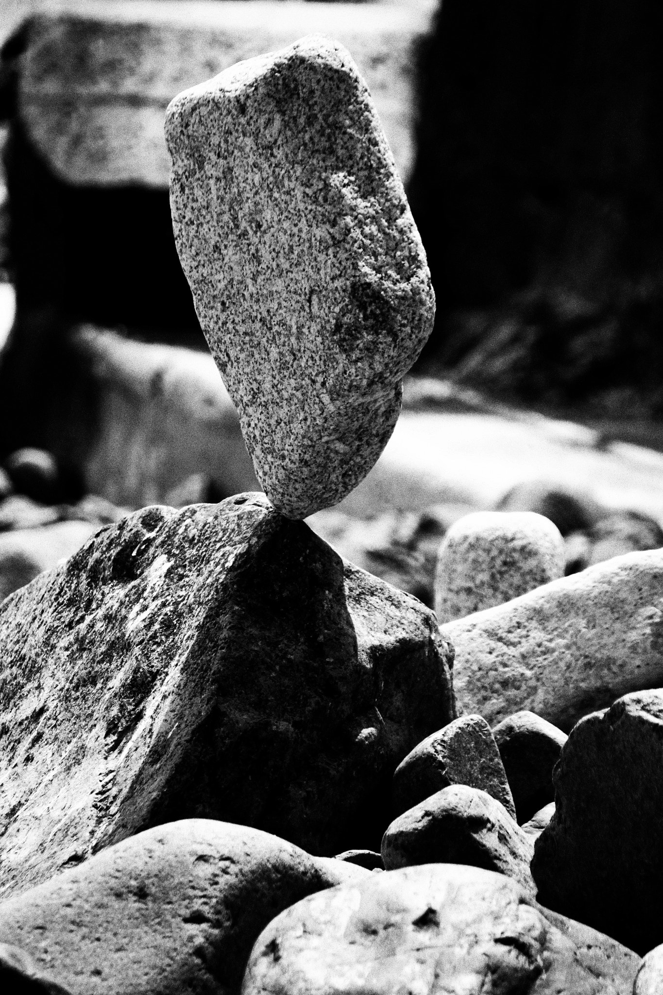 Canon 18-250mm sample photo. Finely balanced photography