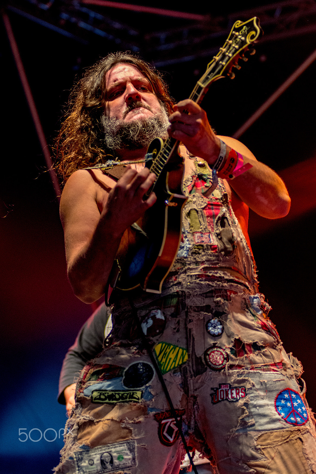 Sigma 70-200mm F2.8 EX DG OS HSM sample photo. Hayseed dixie at wickham festival 2016 photography