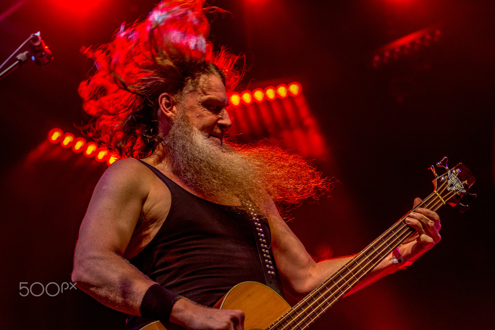 Nikon D7200 + Sigma 70-200mm F2.8 EX DG OS HSM sample photo. Hayseed dixie at wickham festival 2016 photography