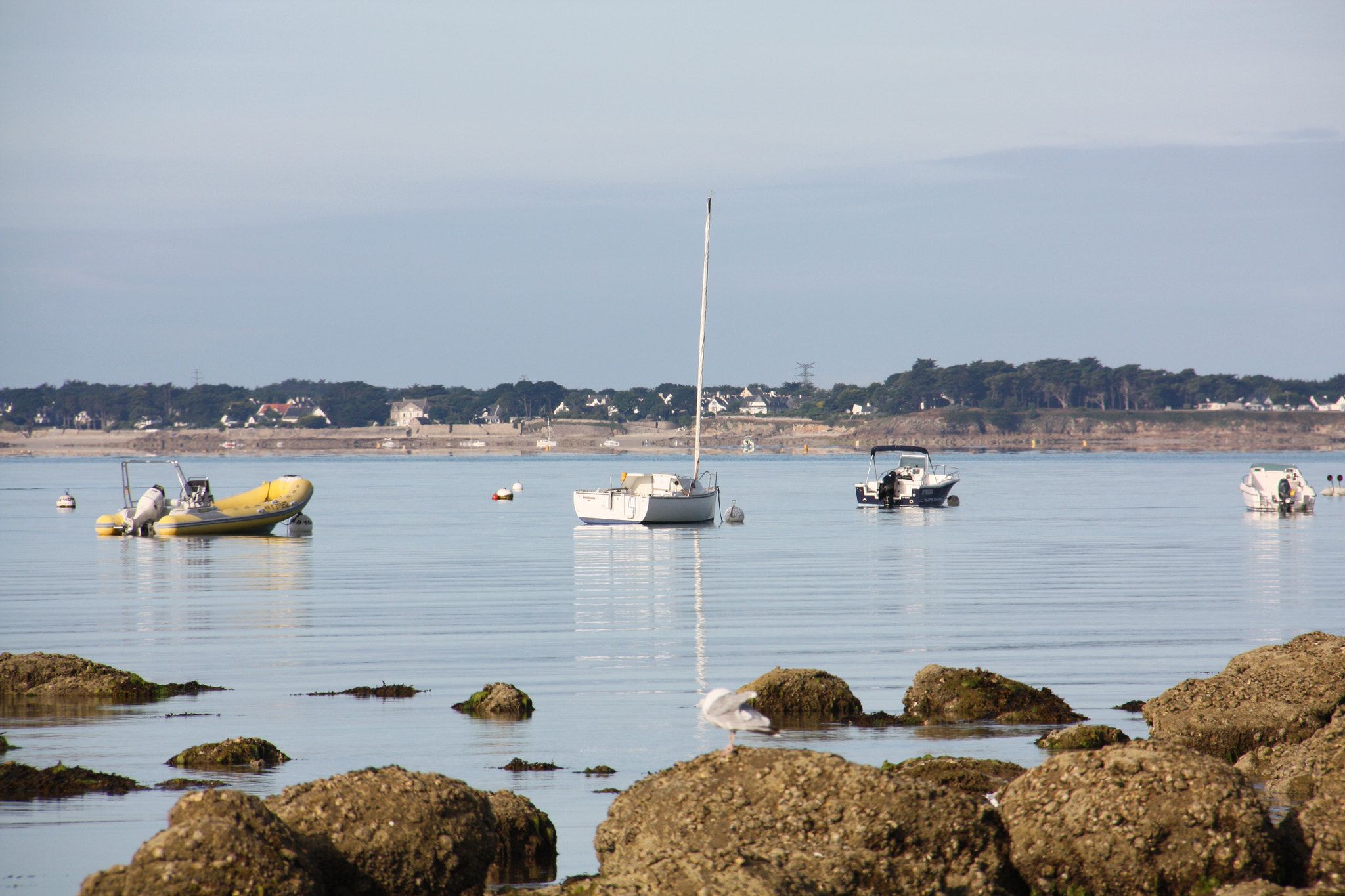 Canon EOS 450D (EOS Rebel XSi / EOS Kiss X2) + Canon EF-S 18-200mm F3.5-5.6 IS sample photo. Carnac et son port photography