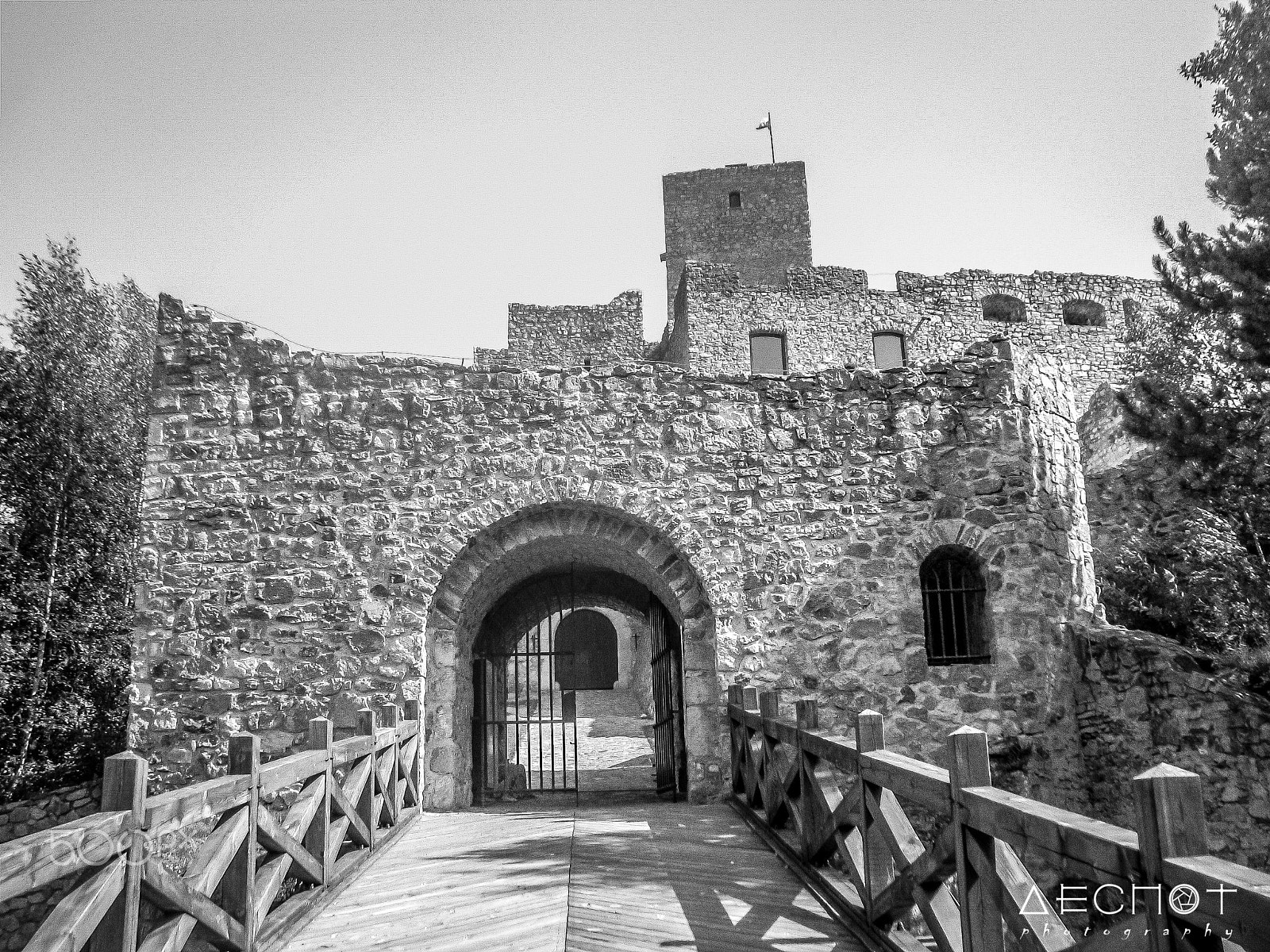 Canon POWERSHOT A620 sample photo. Main gate of strečno castle photography